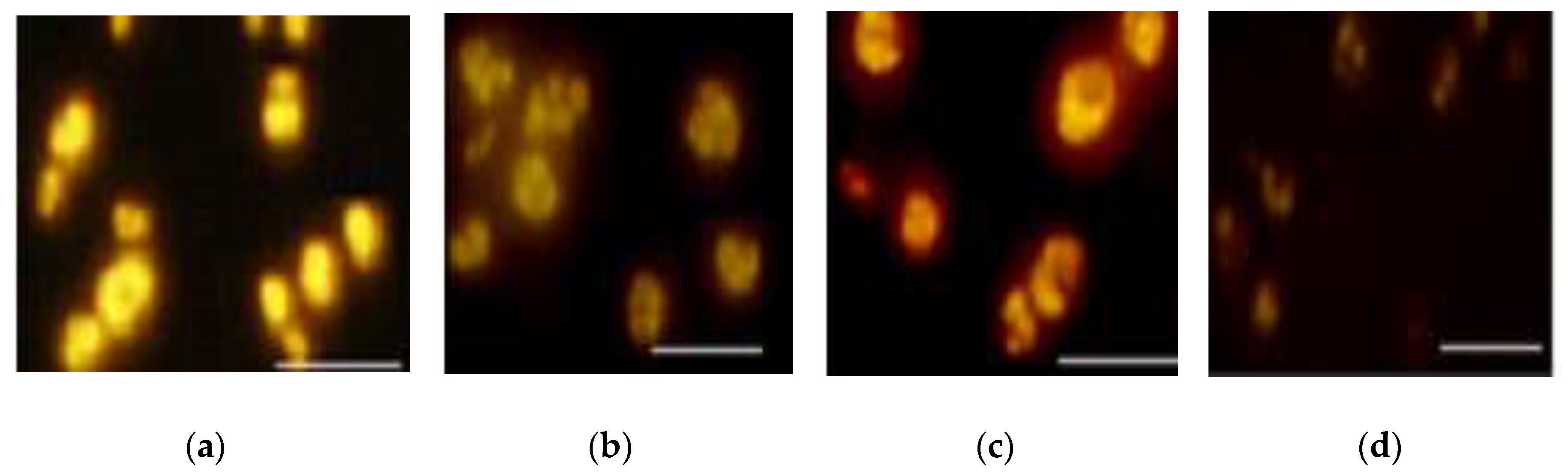 Processes 08 00140 g003