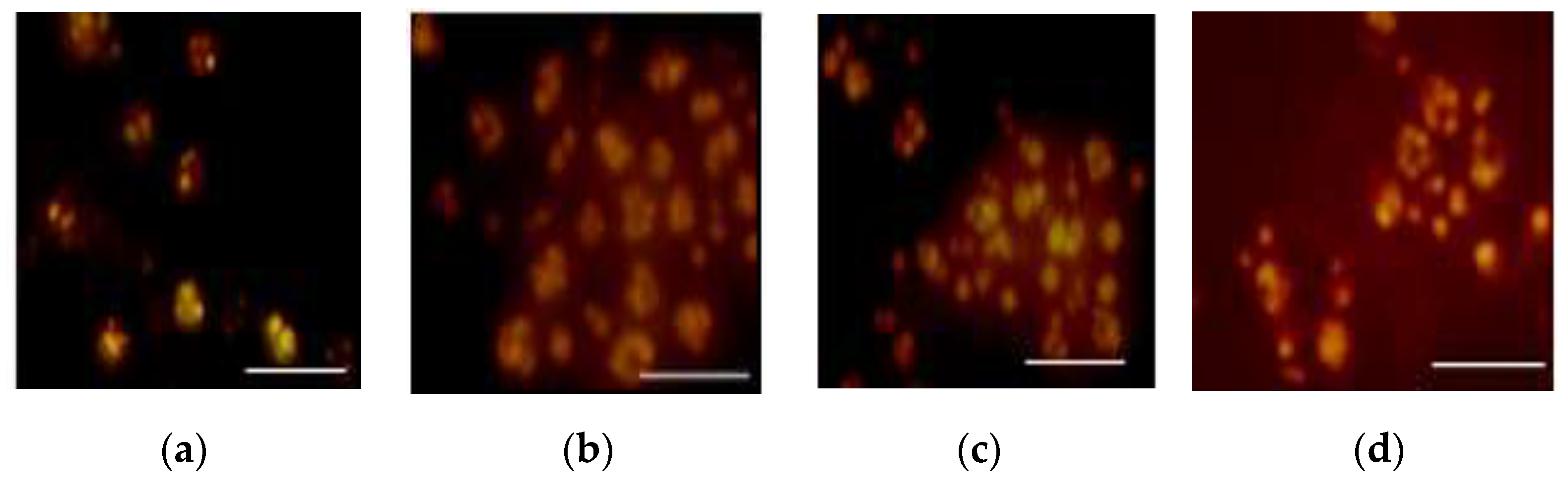 Processes 08 00140 g004