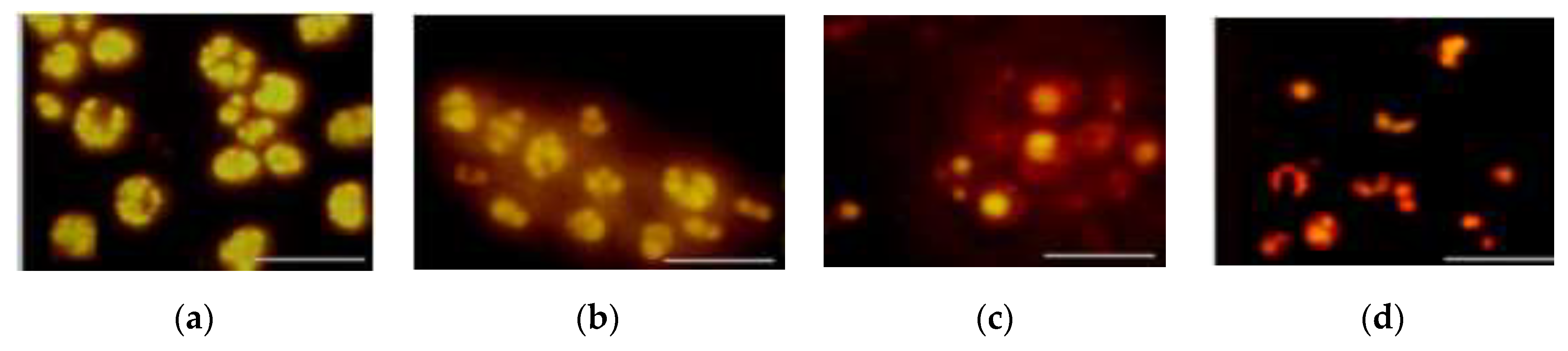 Processes 08 00140 g005
