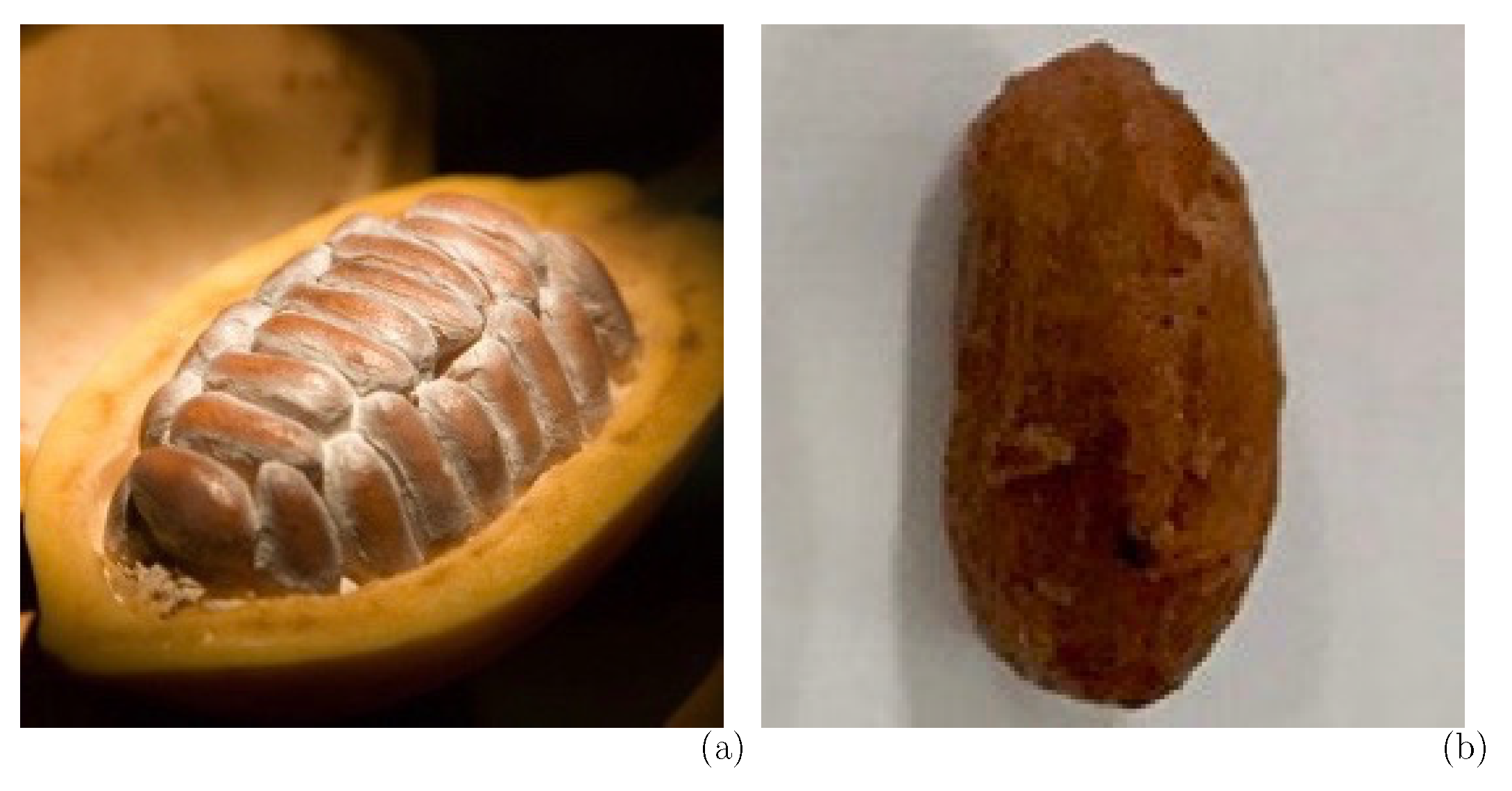 Processes 08 00150 g001