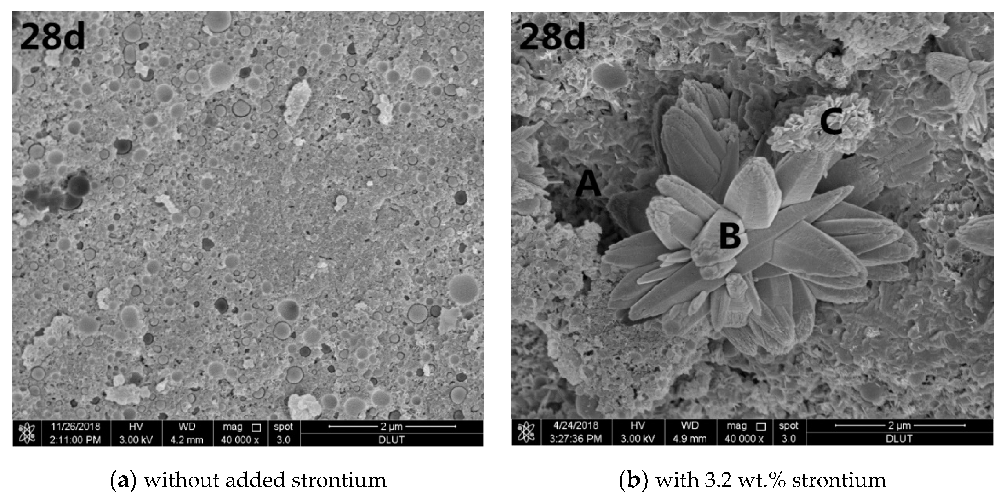 Processes 08 00163 g003b