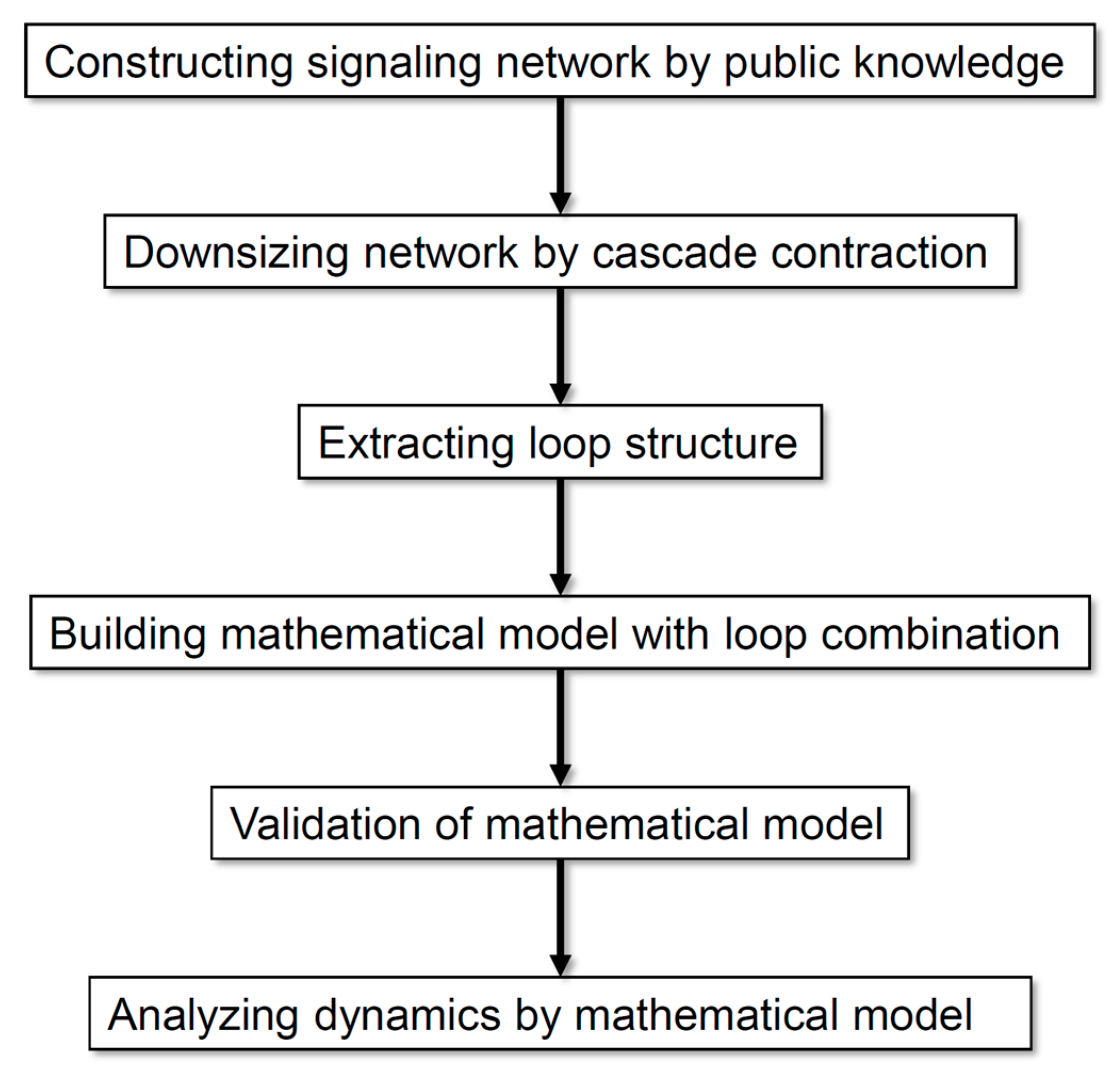 Processes 08 00166 g001