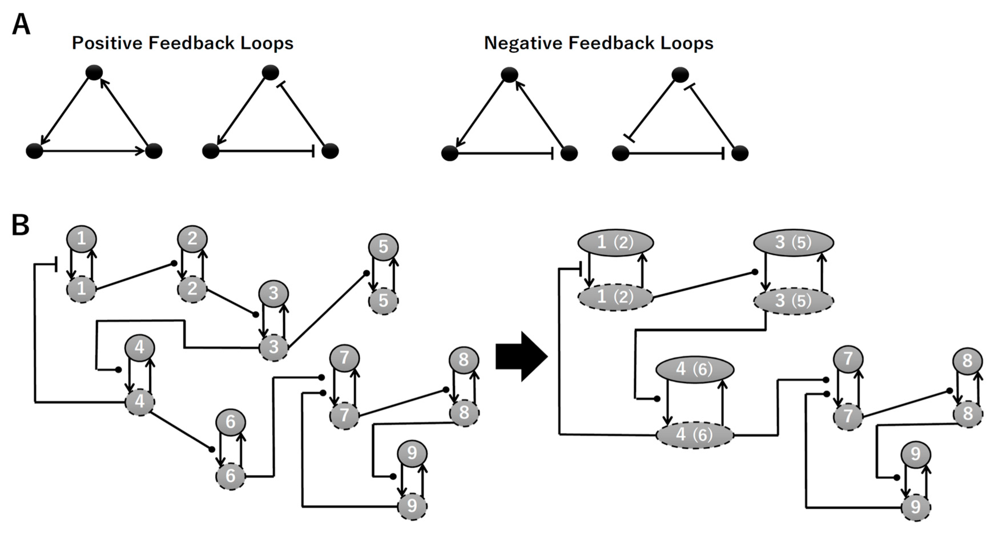 Processes 08 00166 g003