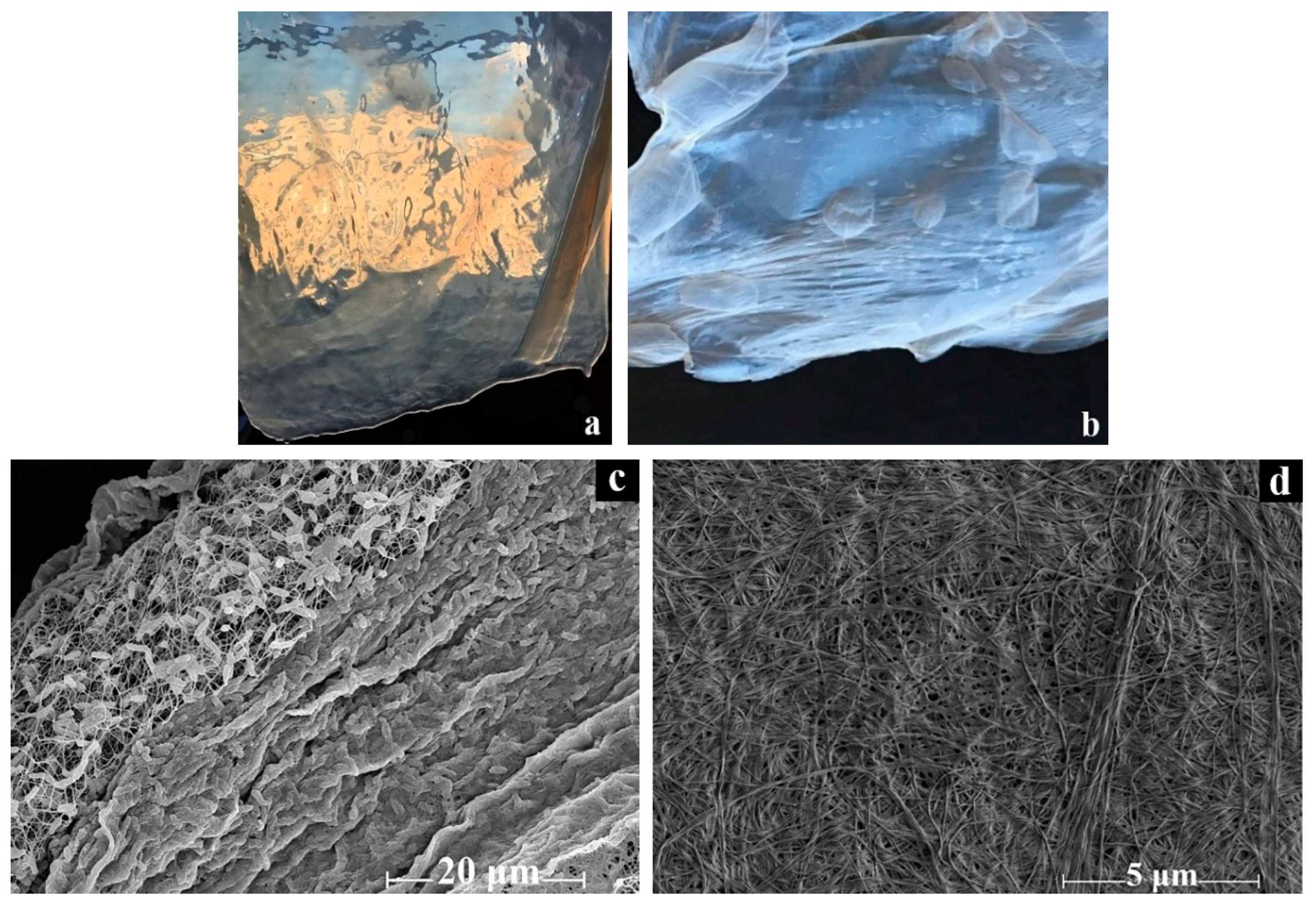 Processes 08 00171 g001 Processes 08 00171 g001