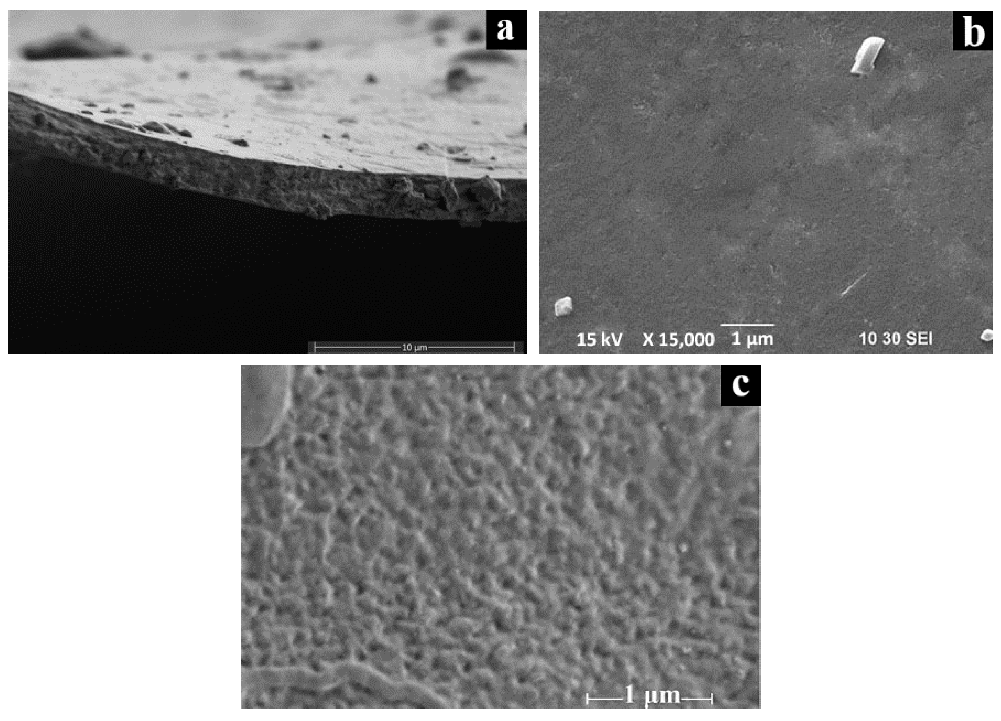 Processes 08 00171 g010 Processes 08 00171 g010