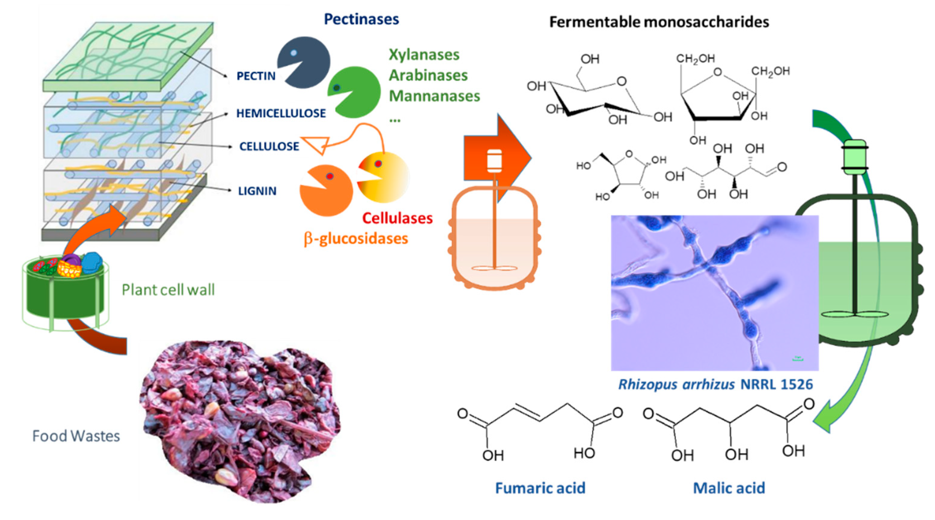 Processes 08 00188 g001 Processes 08 00188 g001