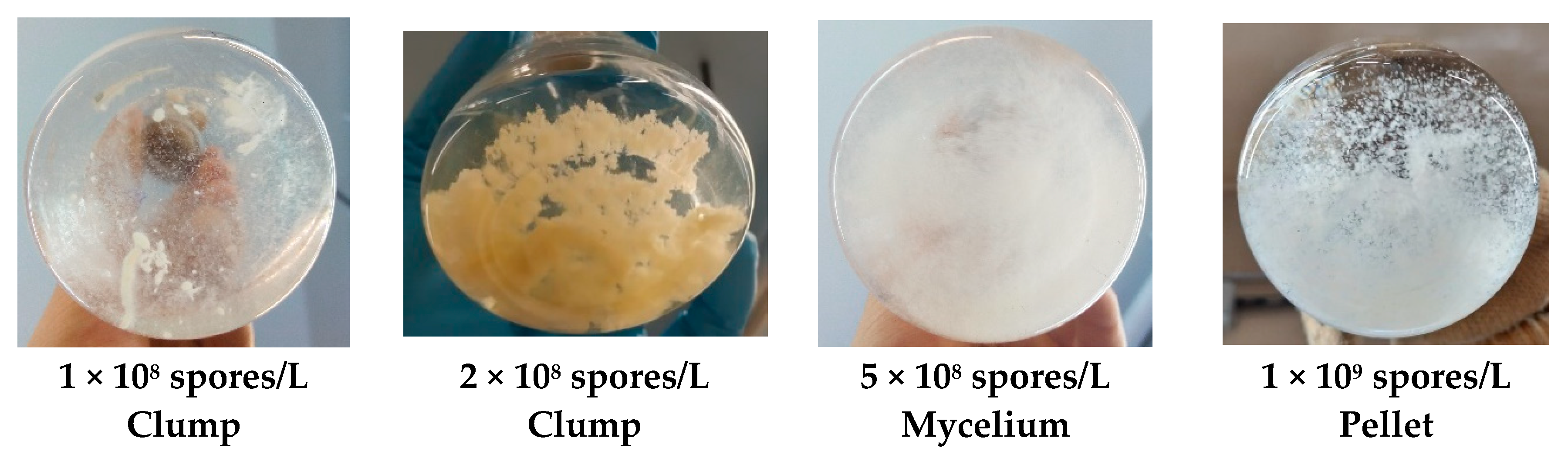 Processes 08 00188 g002 Processes 08 00188 g002