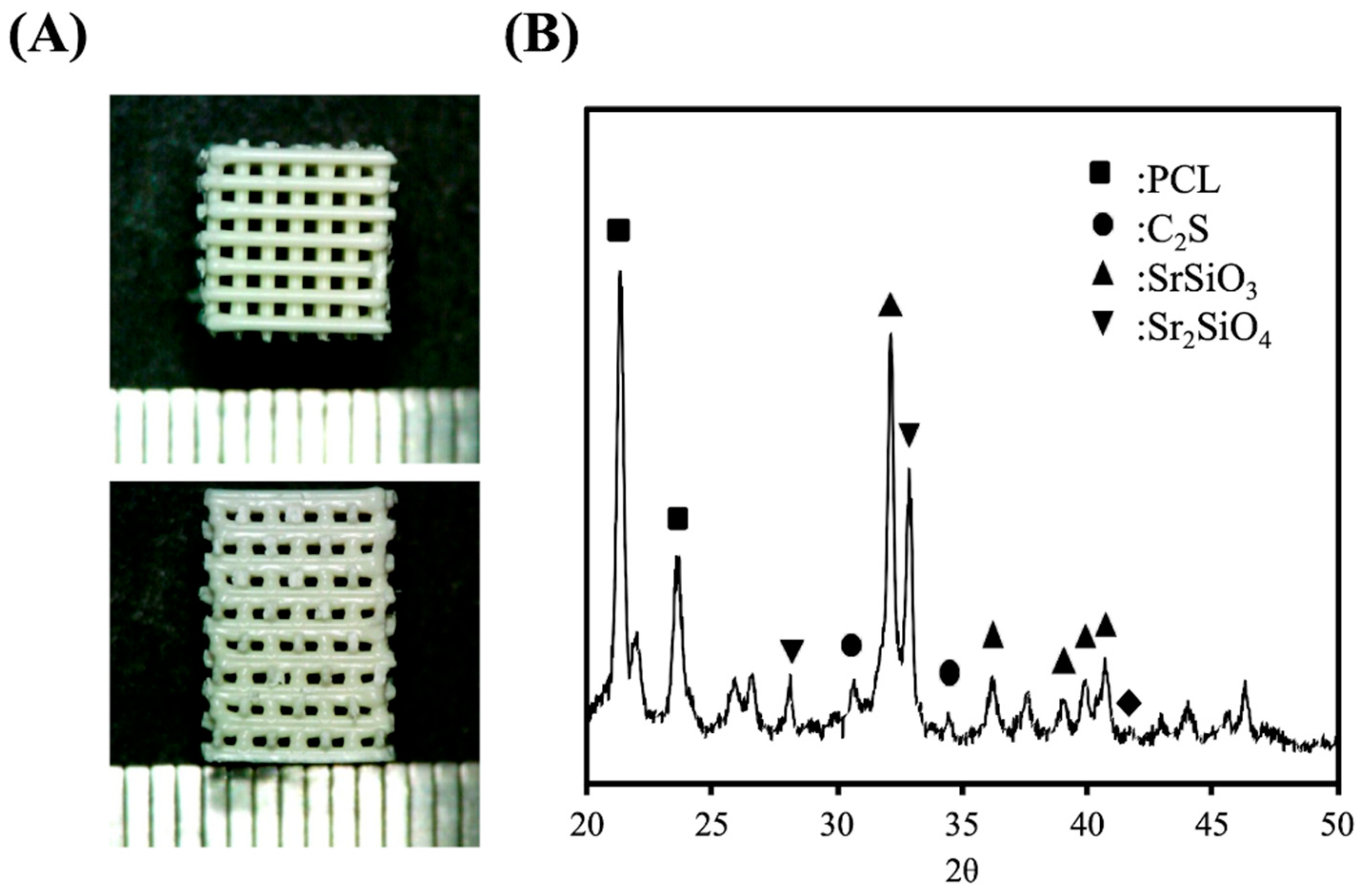 Processes 08 00198 g001