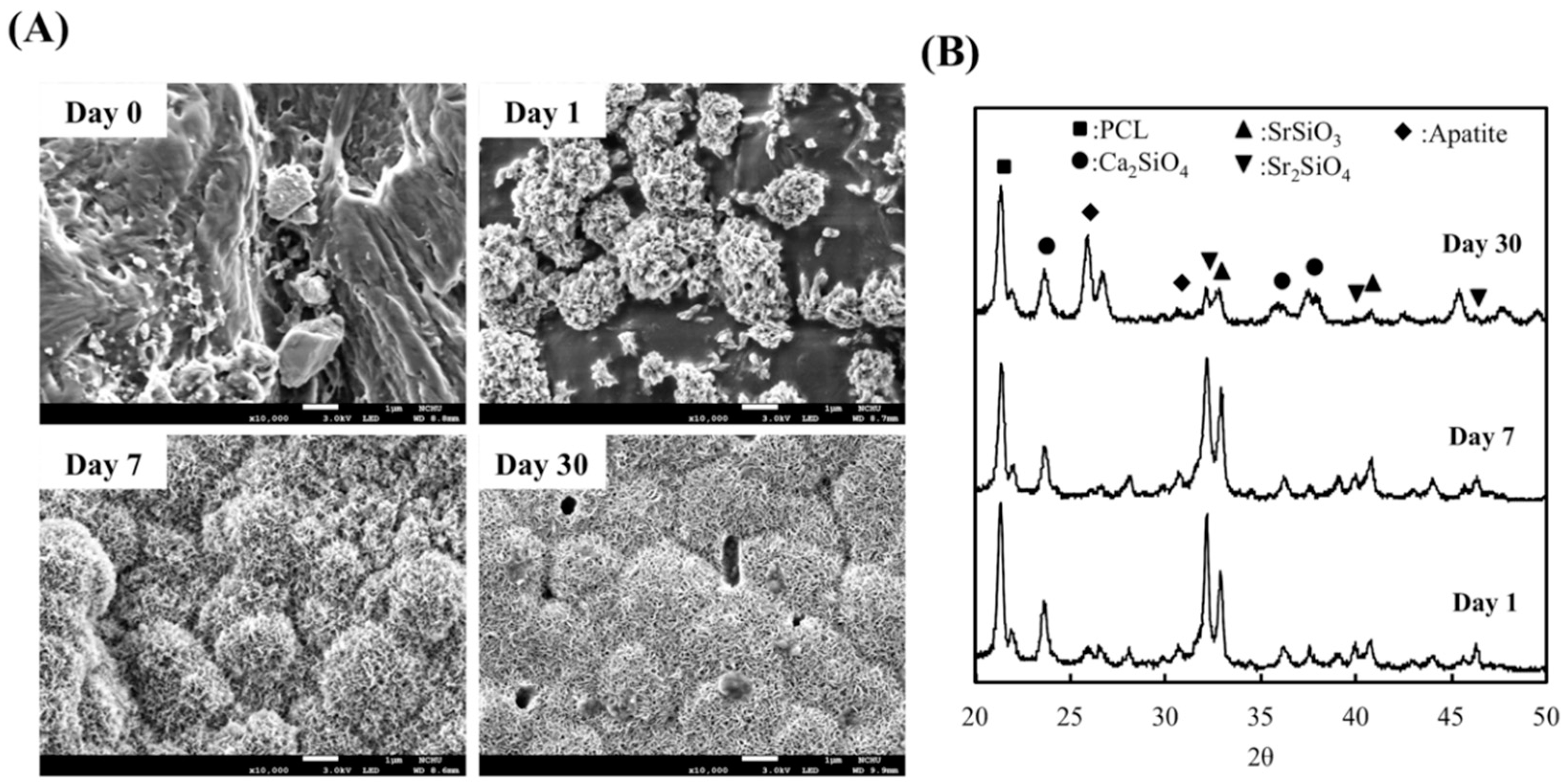 Processes 08 00198 g002