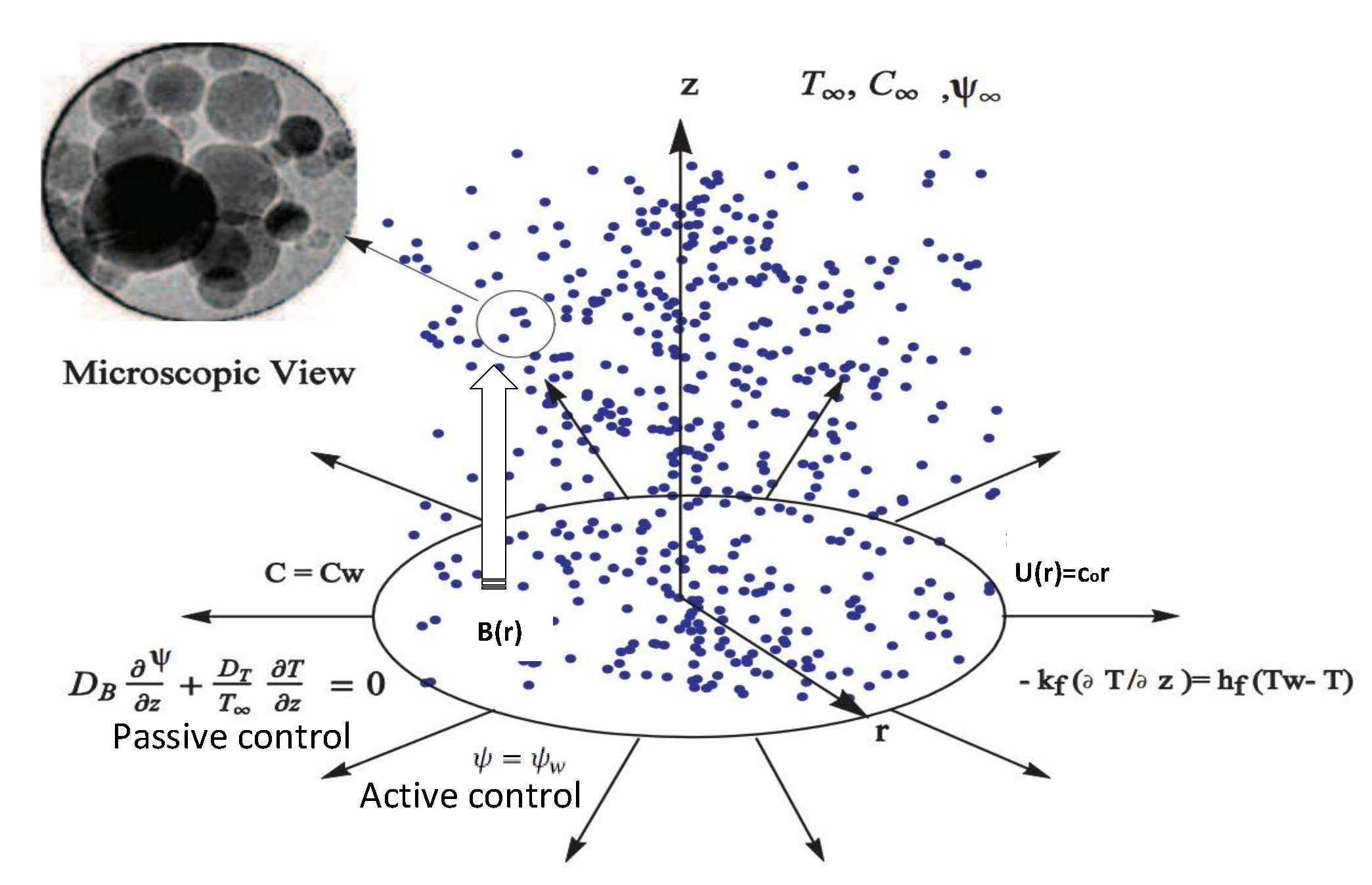 Processes 08 00207 g001