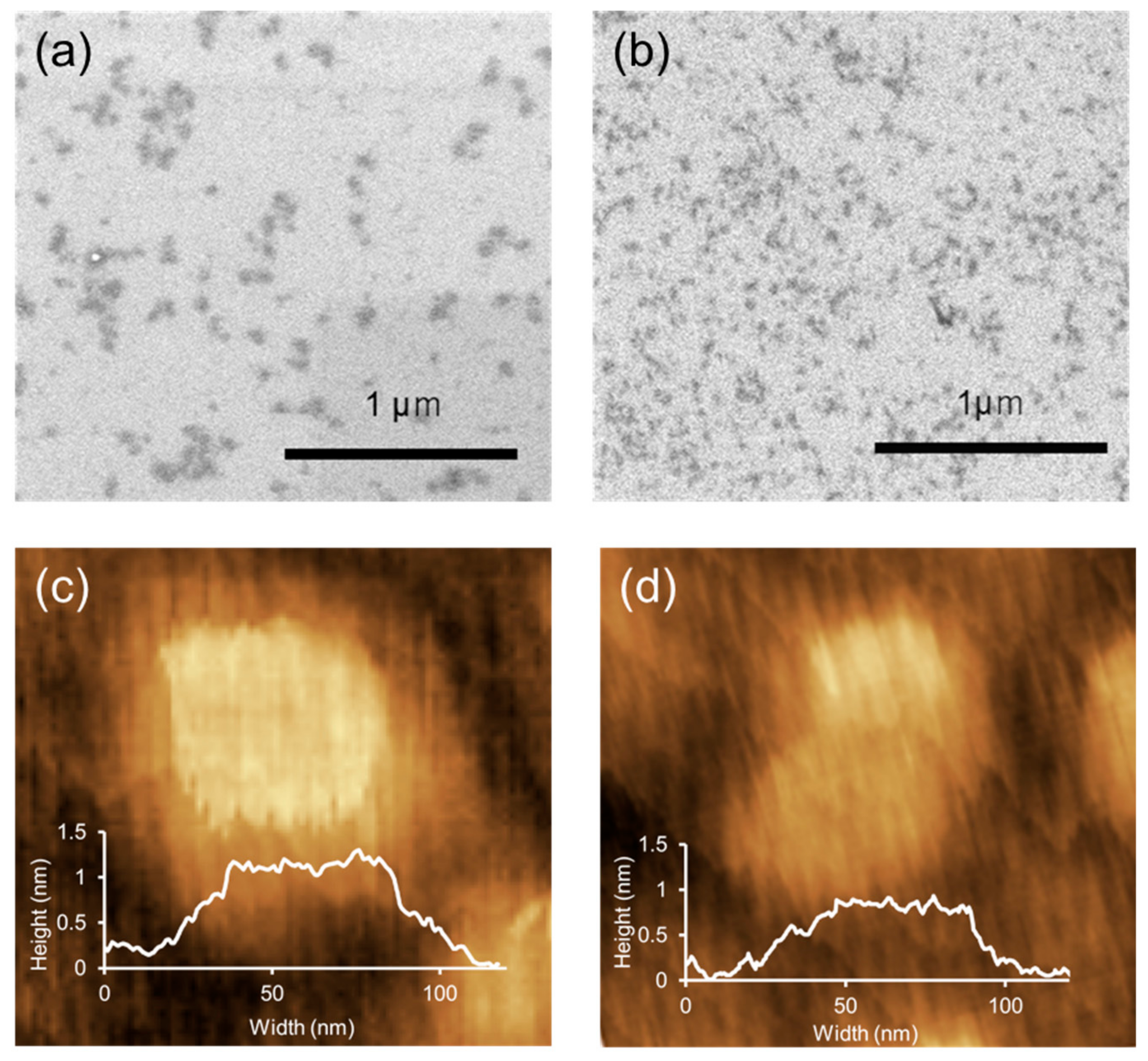 Processes 08 00238 g001