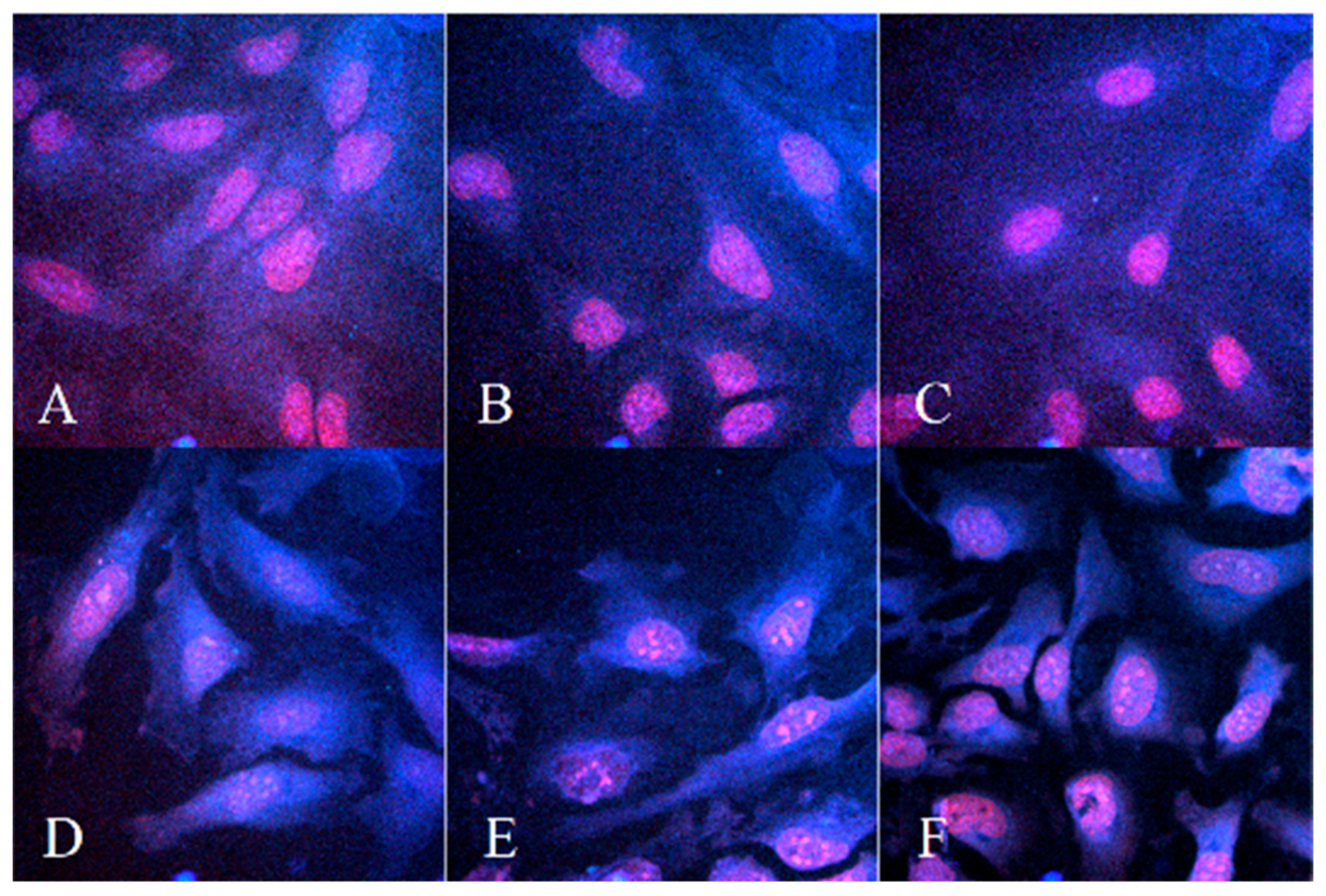 Processes 08 00251 g005