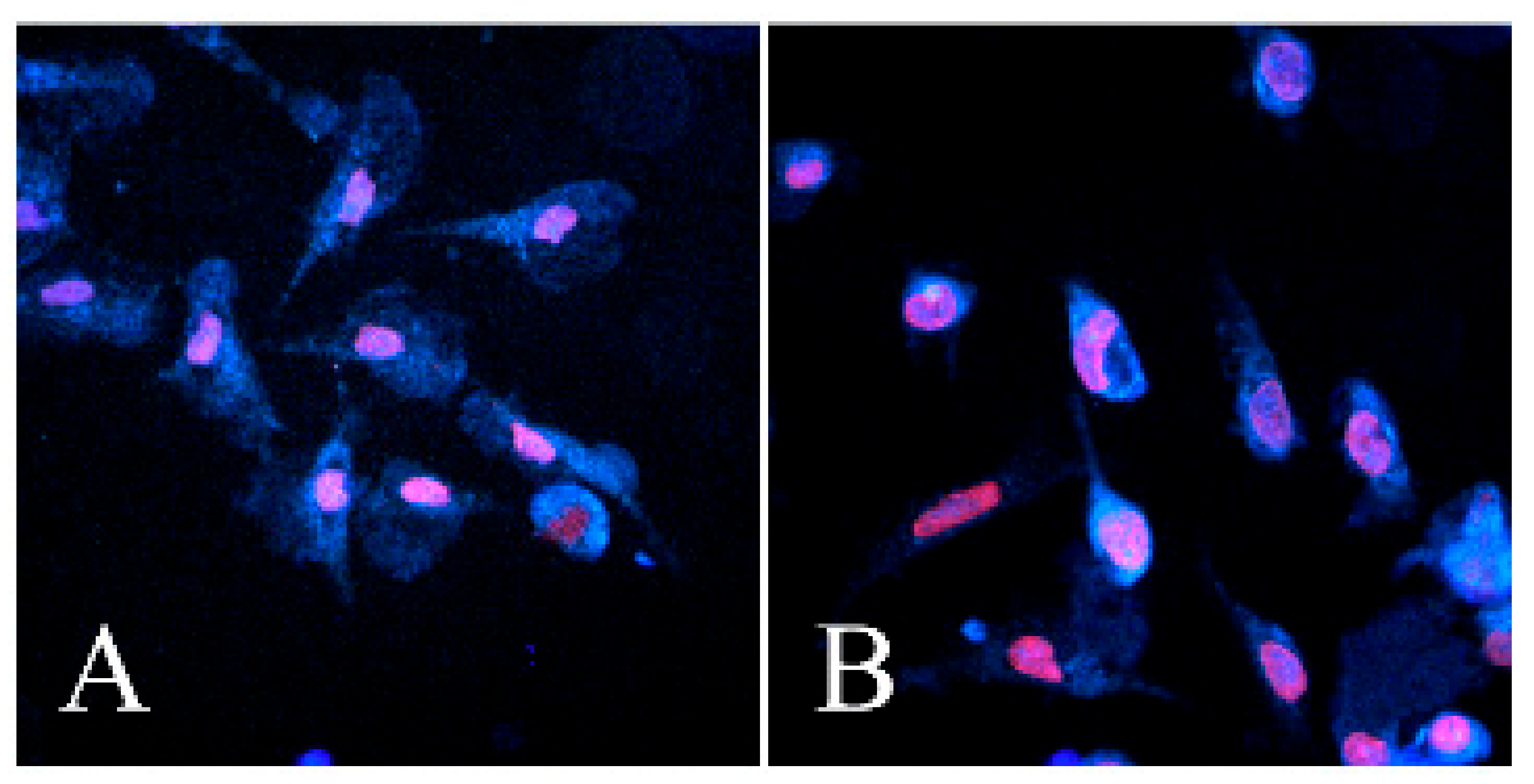 Processes 08 00251 g006