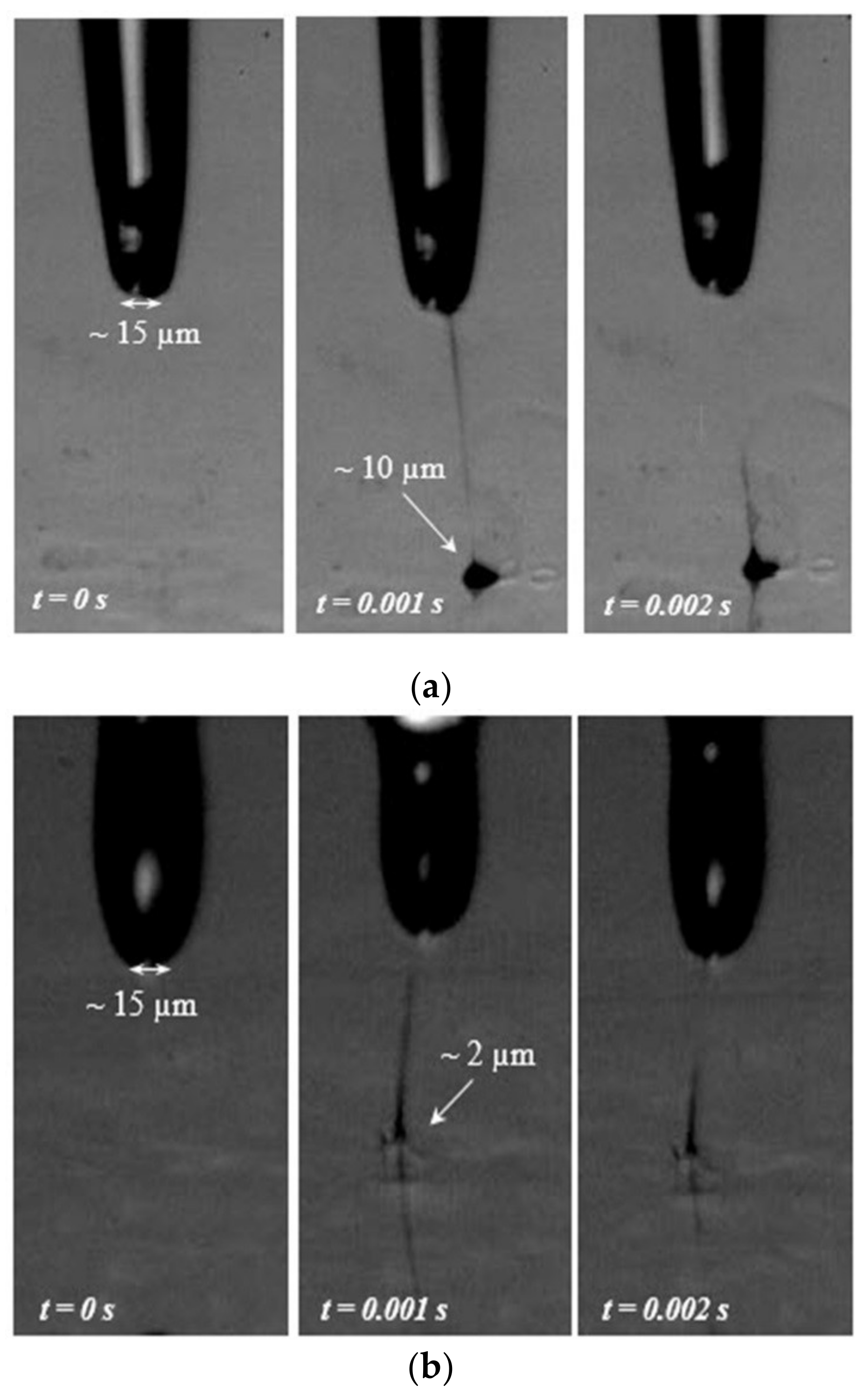 Processes 08 00253 g008