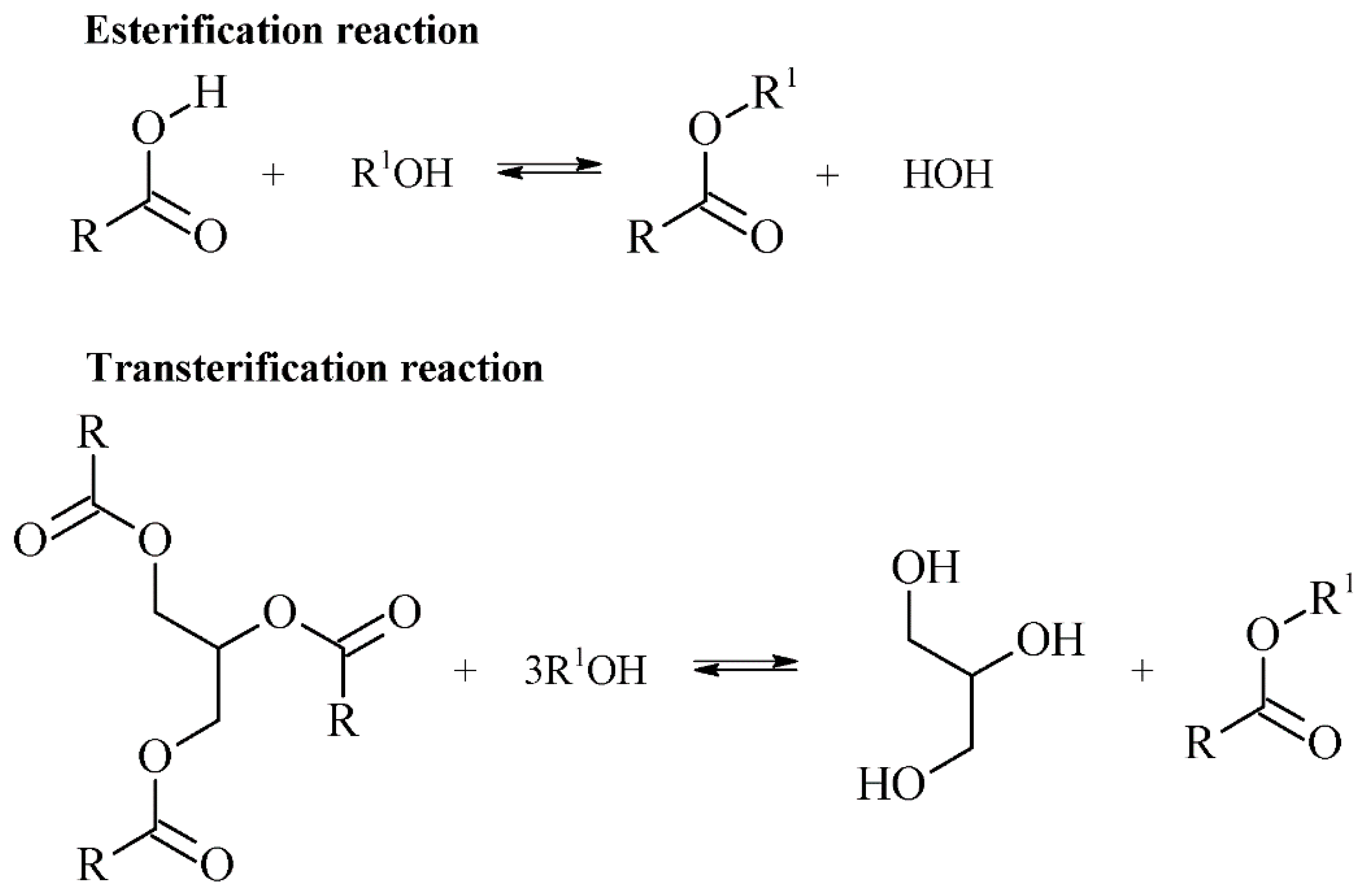 Processes 08 00257 g003