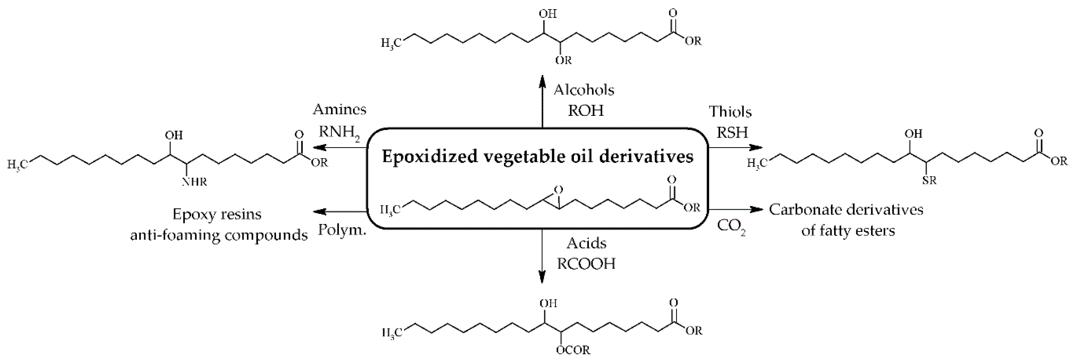 Processes 08 00257 g004