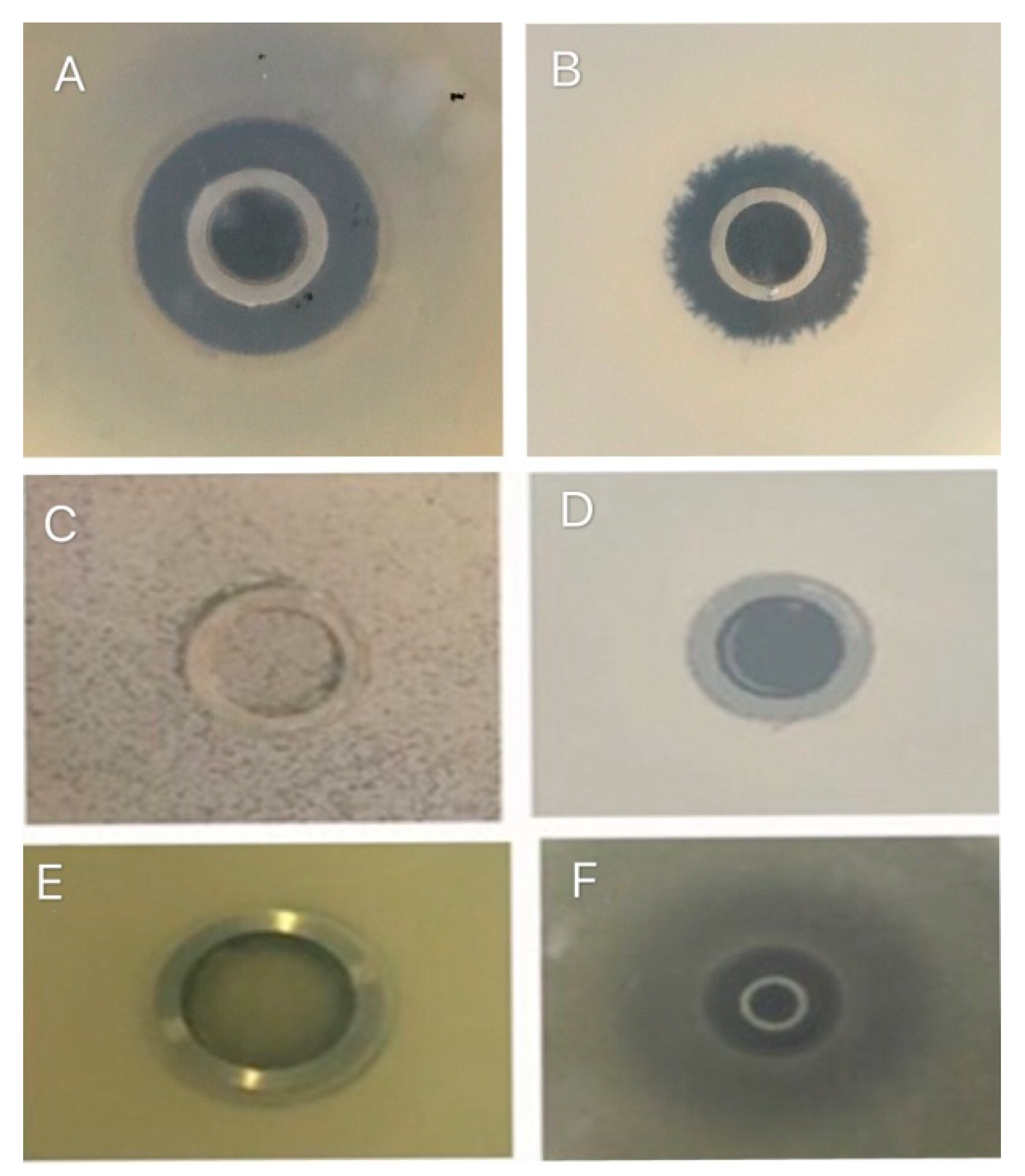 Processes 08 00259 g002