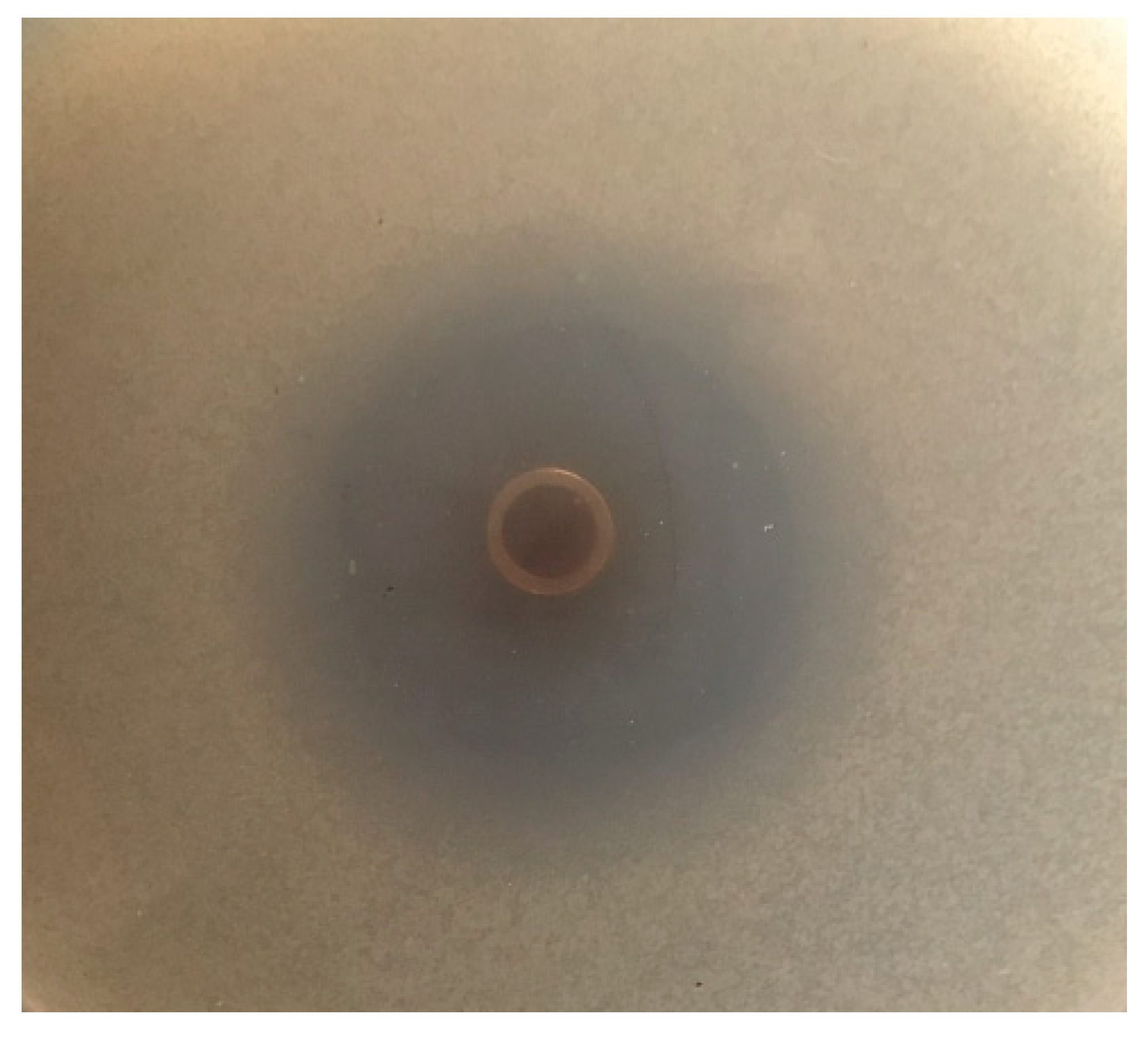 Processes 08 00259 g004