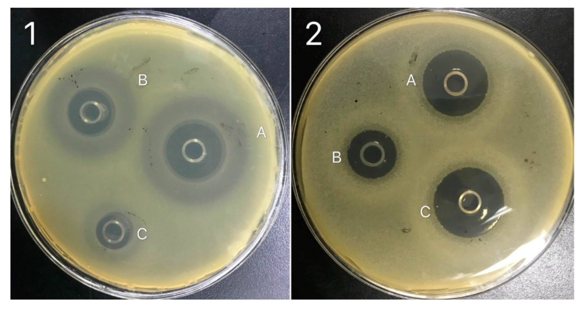 Processes 08 00259 g007