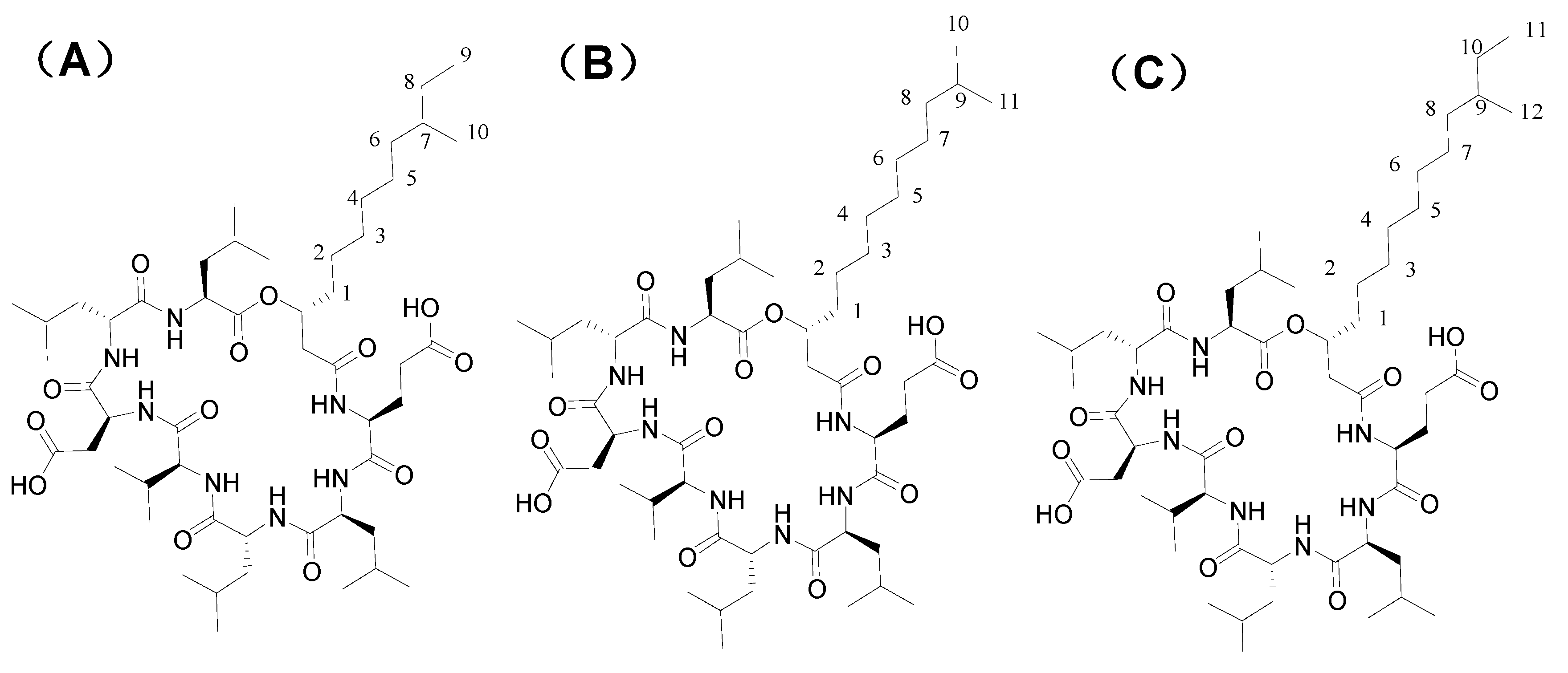Processes 08 00259 g008