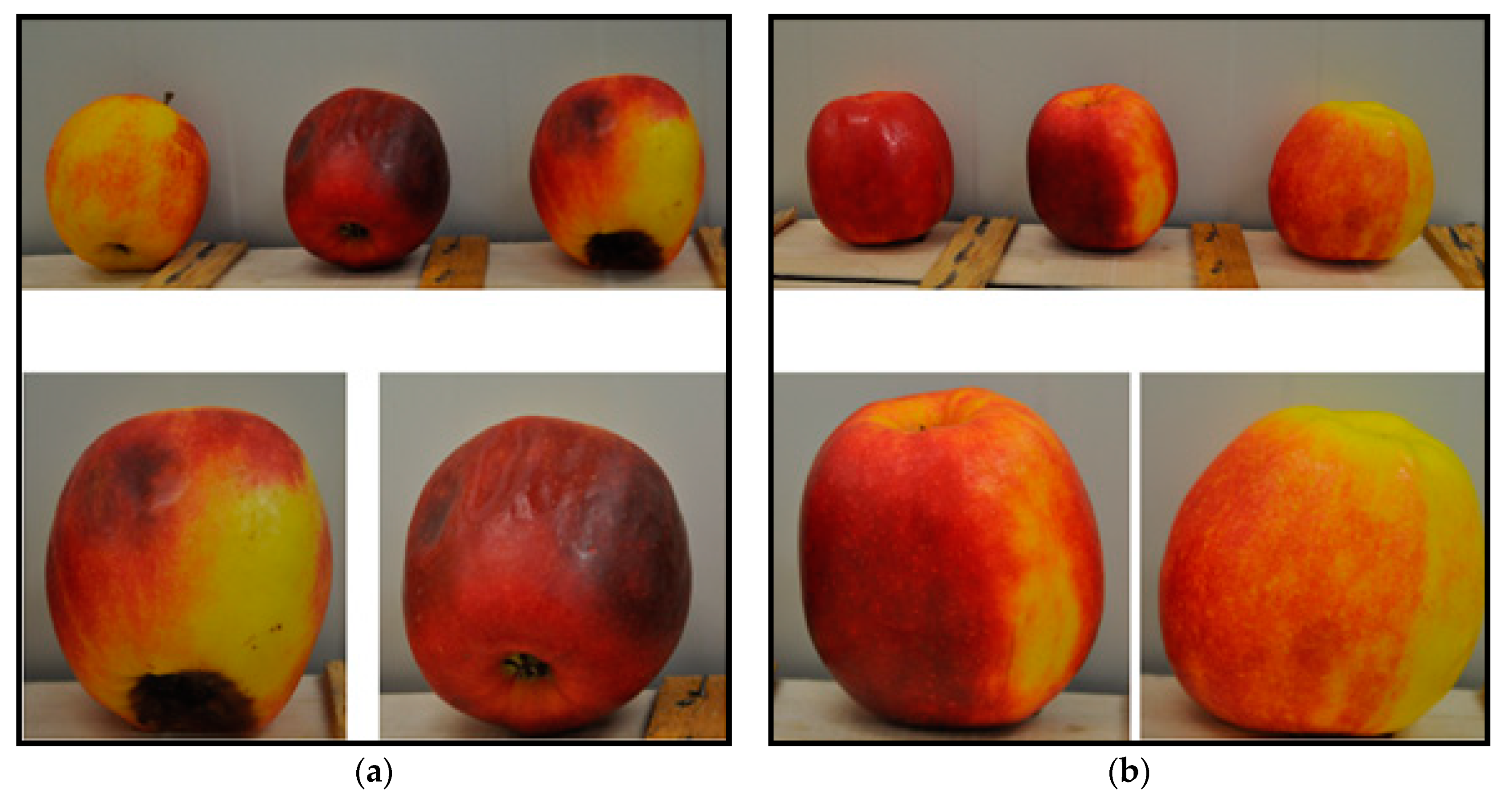Processes 08 00262 g004 Processes 08 00262 g004