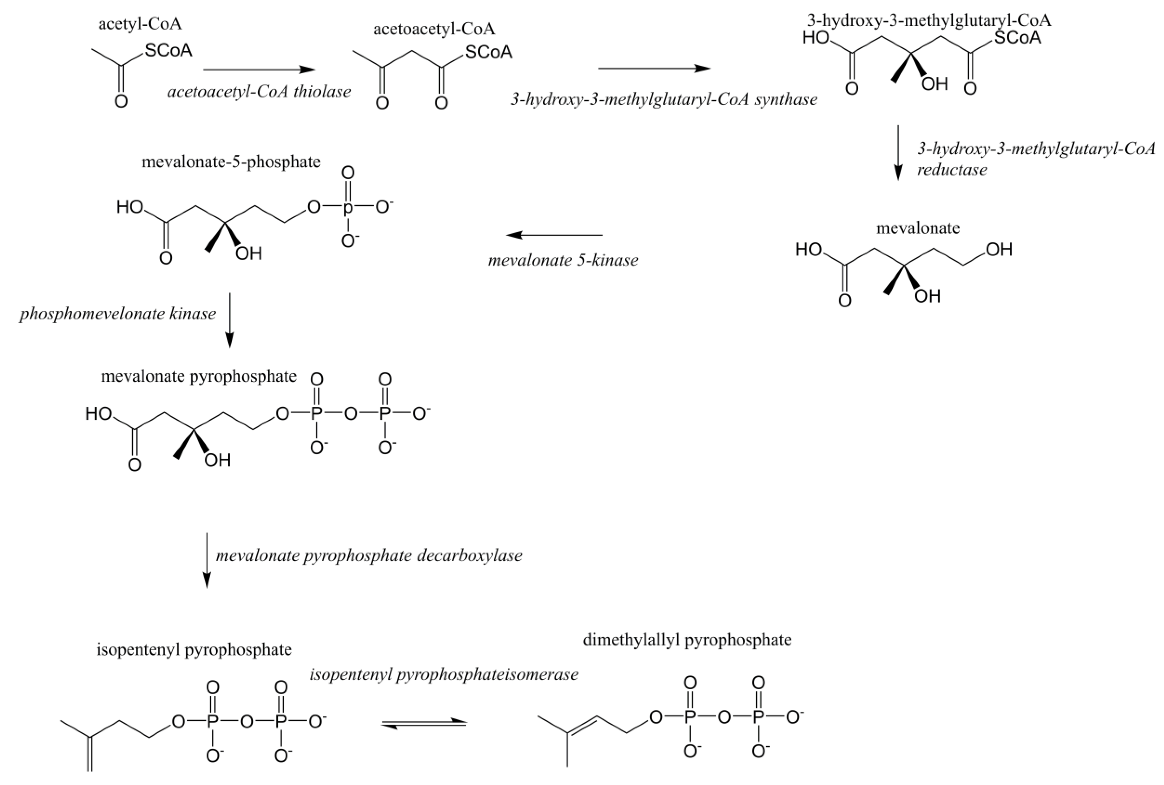 Processes 08 00263 g001