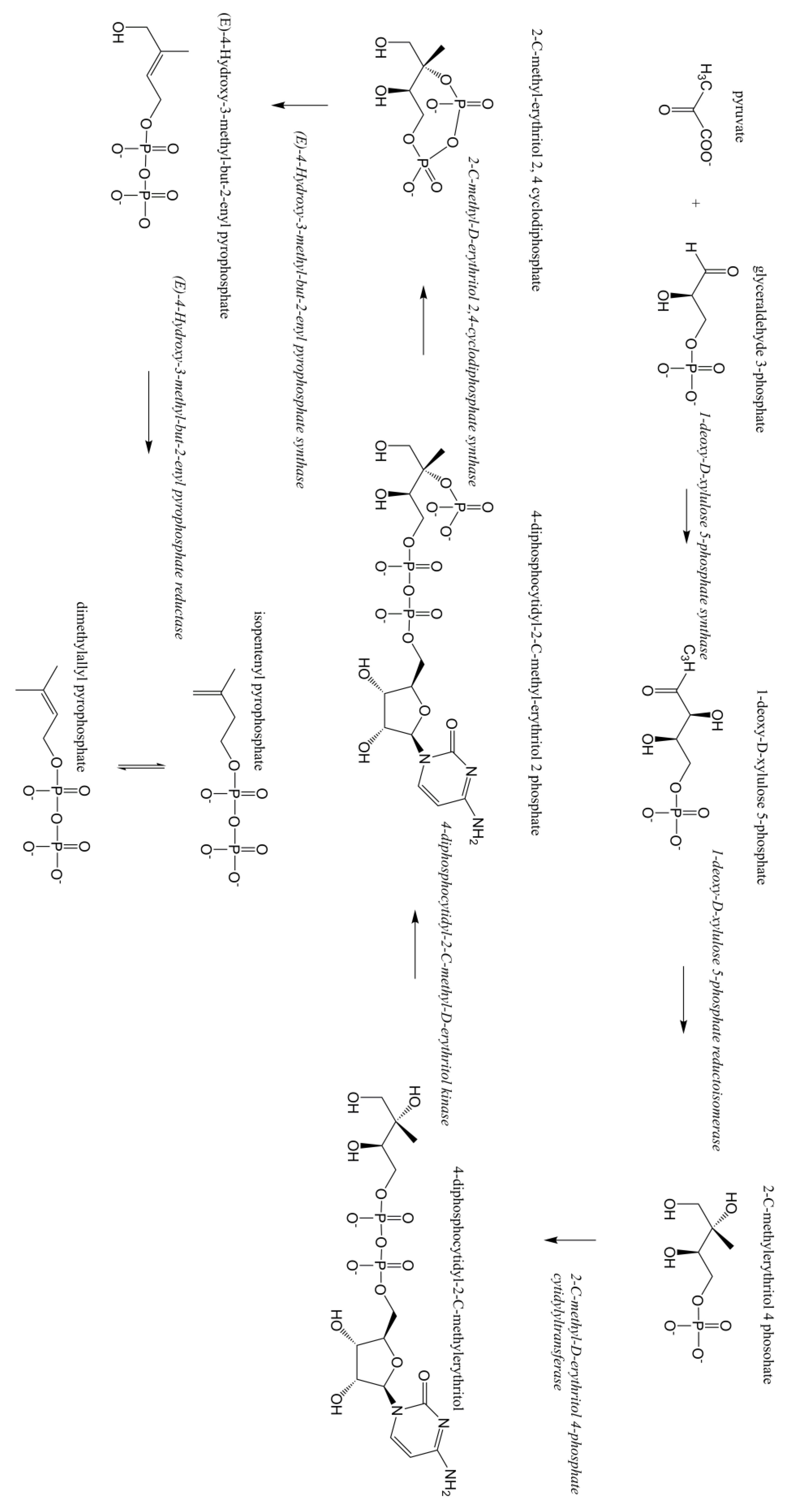 Processes 08 00263 g002
