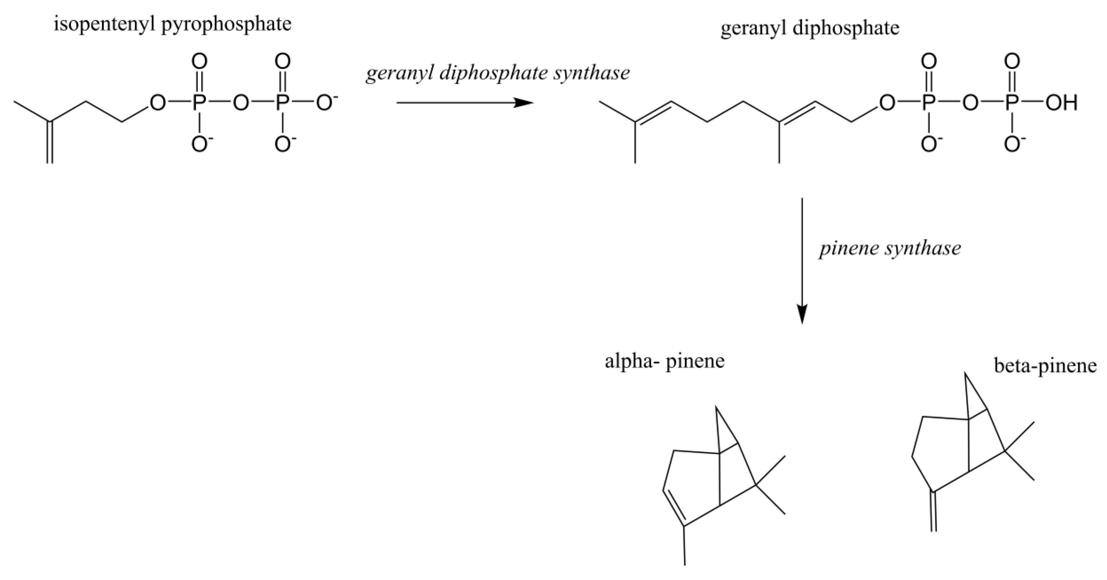 Processes 08 00263 g003