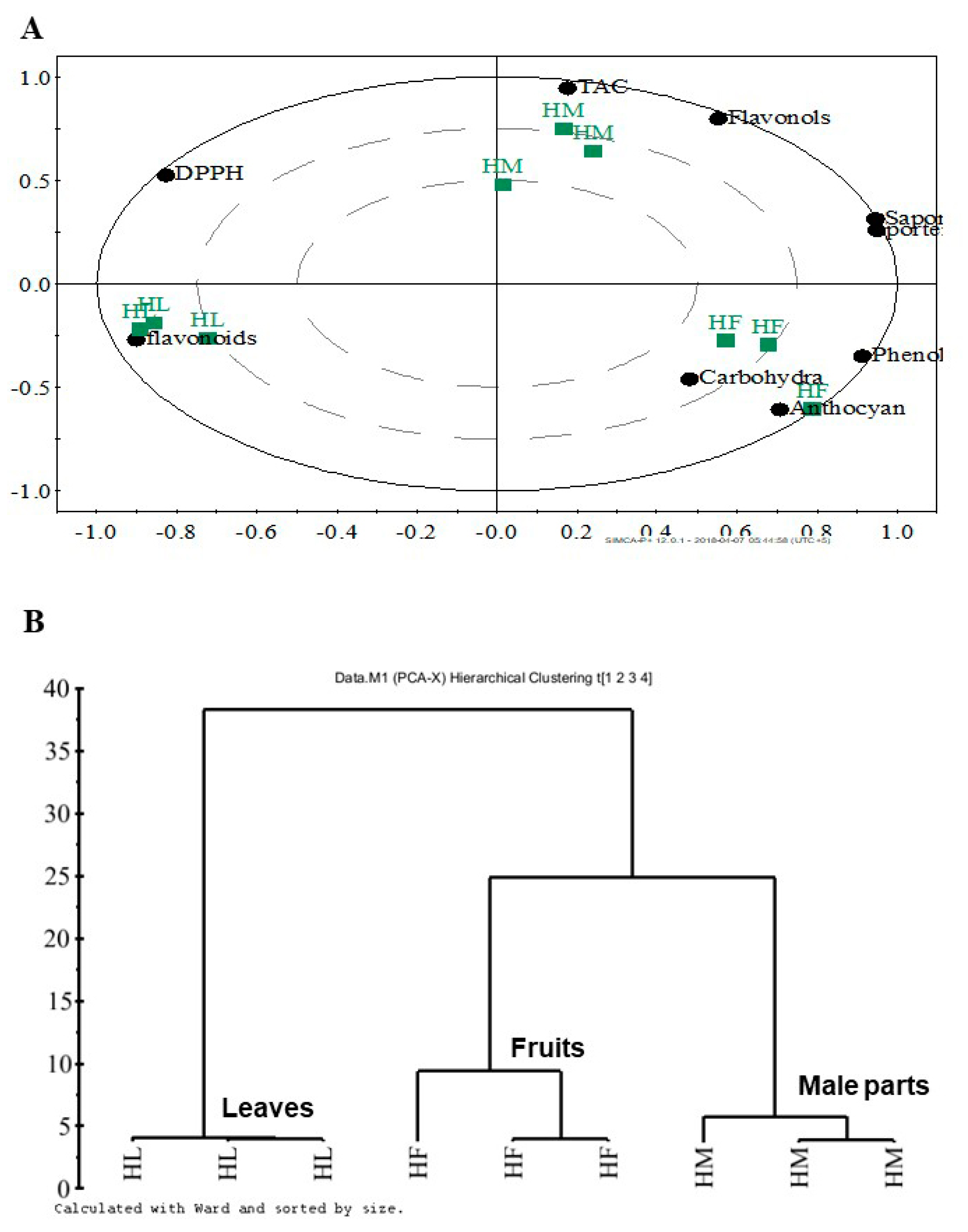 Processes 08 00266 g002