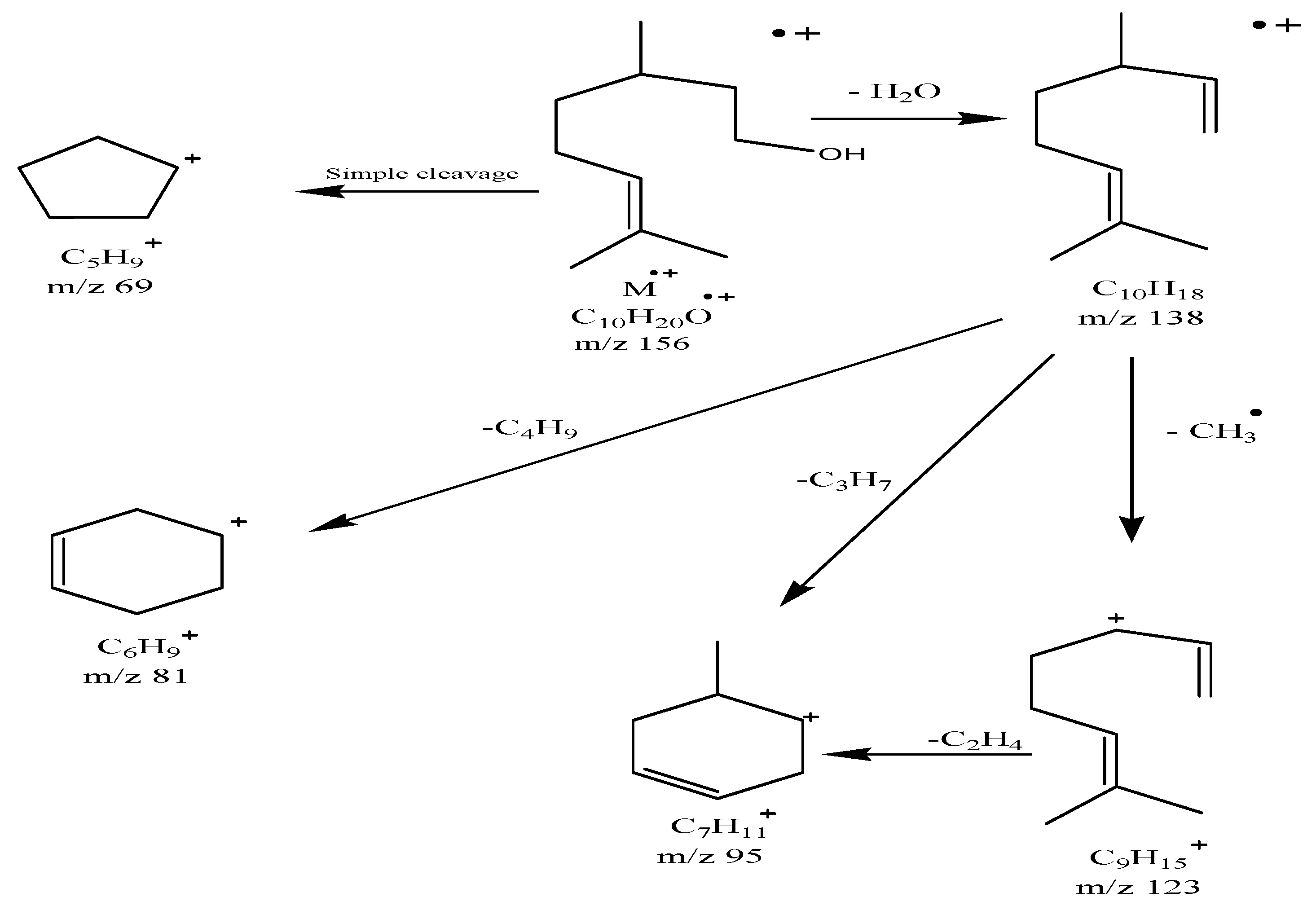 Processes 08 00275 g002