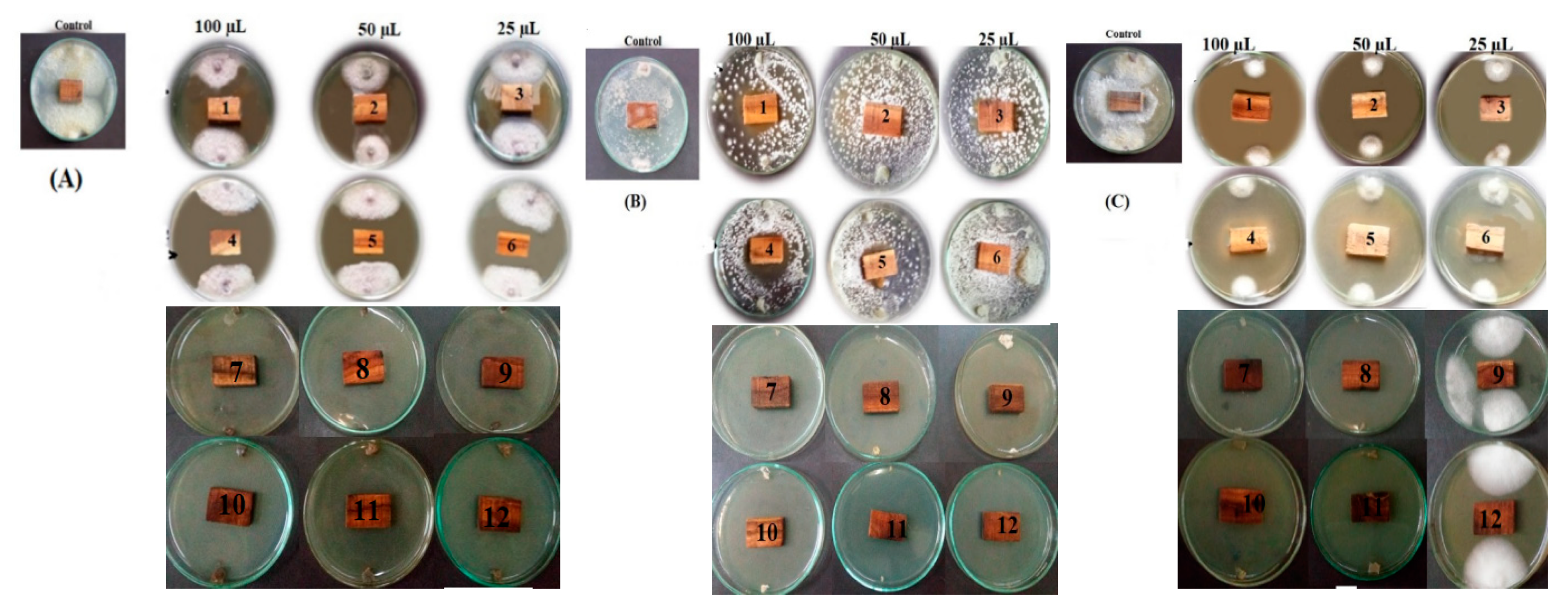 Processes 08 00275 g006