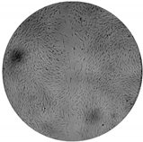 Processes 08 00277 i002 Processes 08 00277 i002