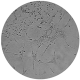 Processes 08 00277 i003 Processes 08 00277 i003