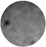 Processes 08 00277 i005 Processes 08 00277 i005