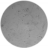 Processes 08 00277 i006 Processes 08 00277 i006