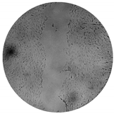 Processes 08 00277 i007 Processes 08 00277 i007