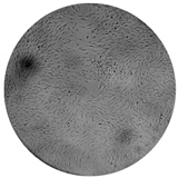 Processes 08 00277 i008 Processes 08 00277 i008