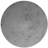 Processes 08 00277 i009 Processes 08 00277 i009