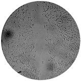 Processes 08 00277 i010 Processes 08 00277 i010