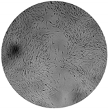 Processes 08 00277 i011 Processes 08 00277 i011