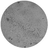 Processes 08 00277 i012 Processes 08 00277 i012