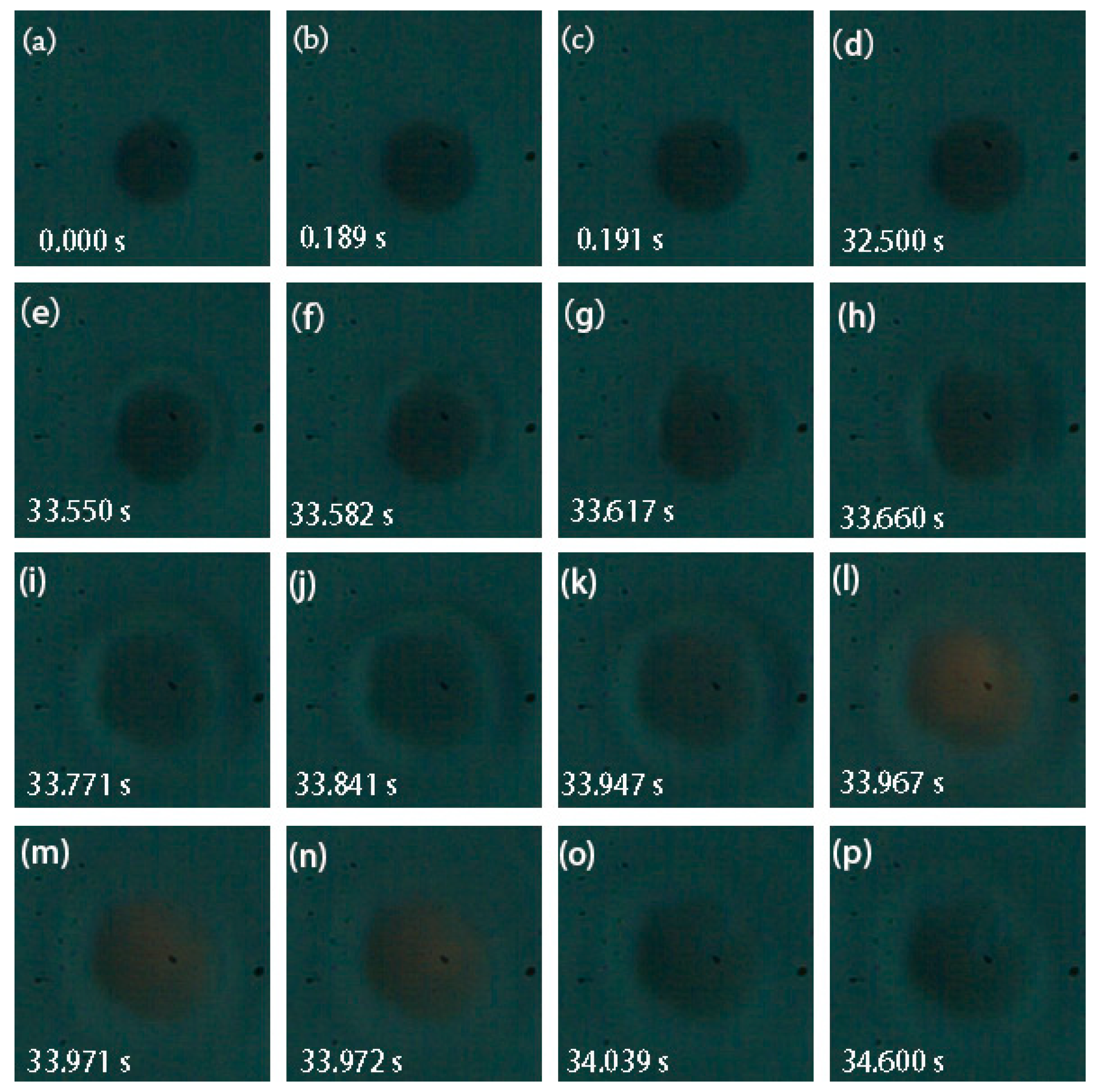 Processes 08 00280 g003