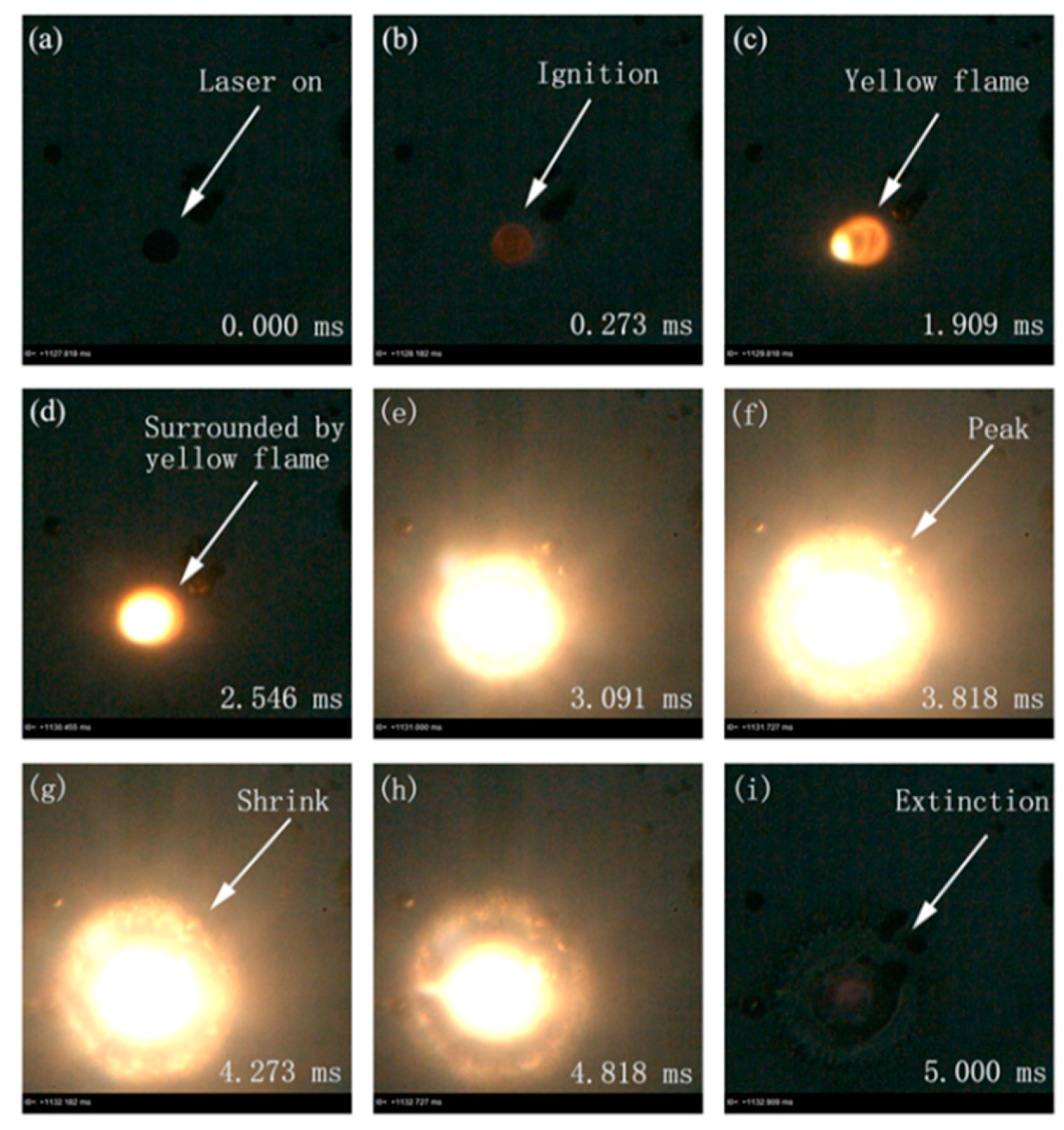 Processes 08 00280 g010