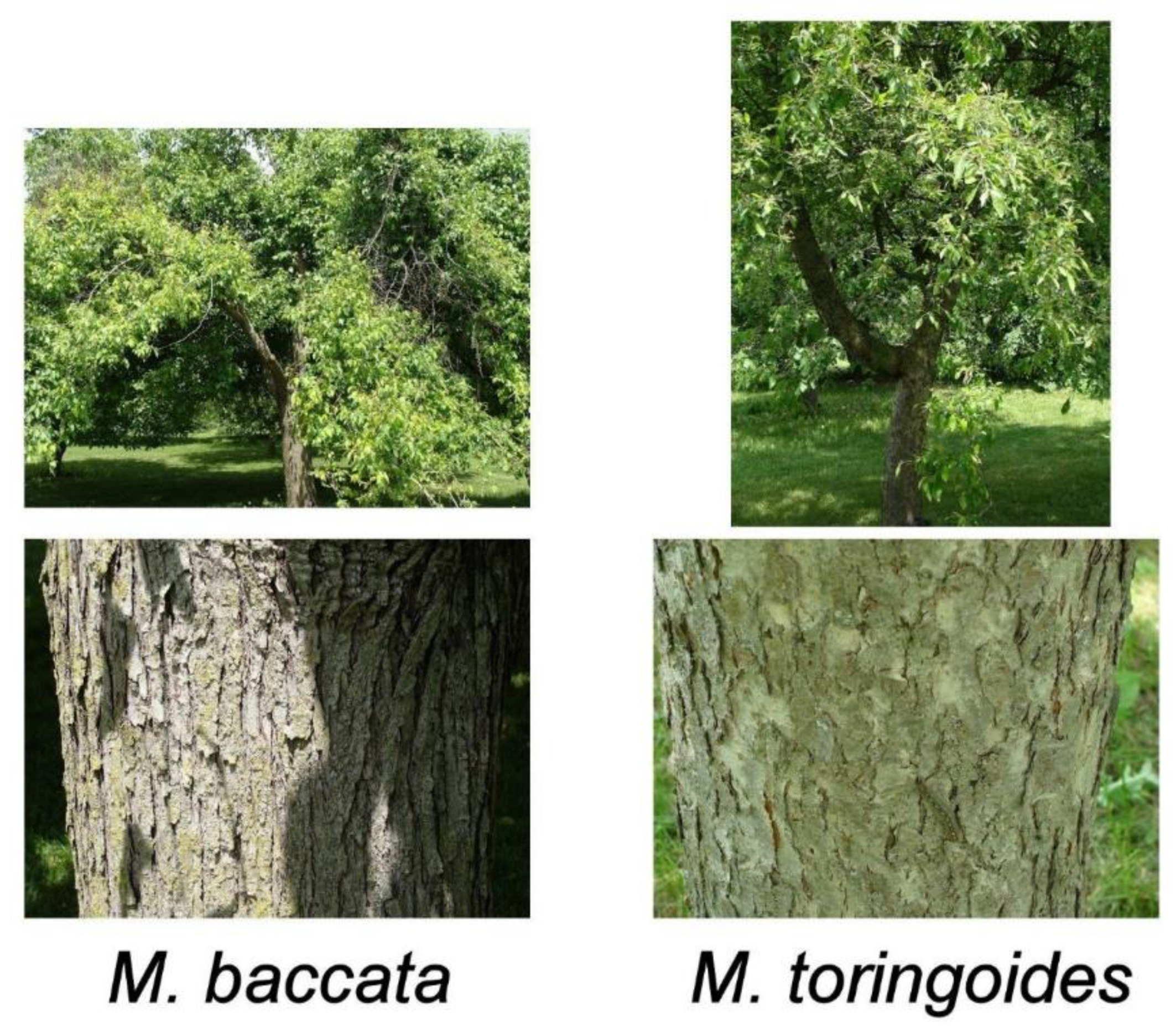 Processes 08 00283 g001