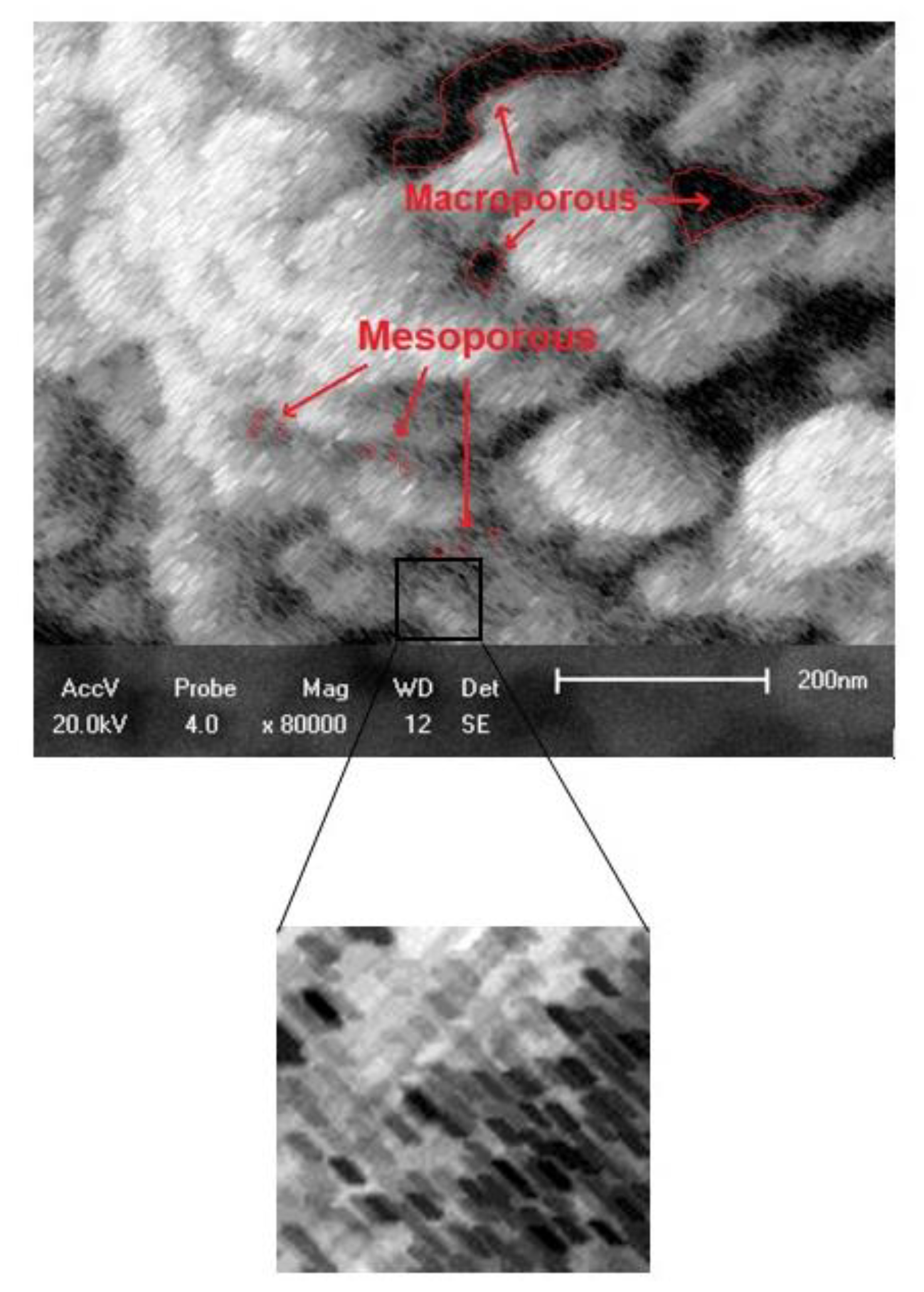 Processes 08 00289 g003