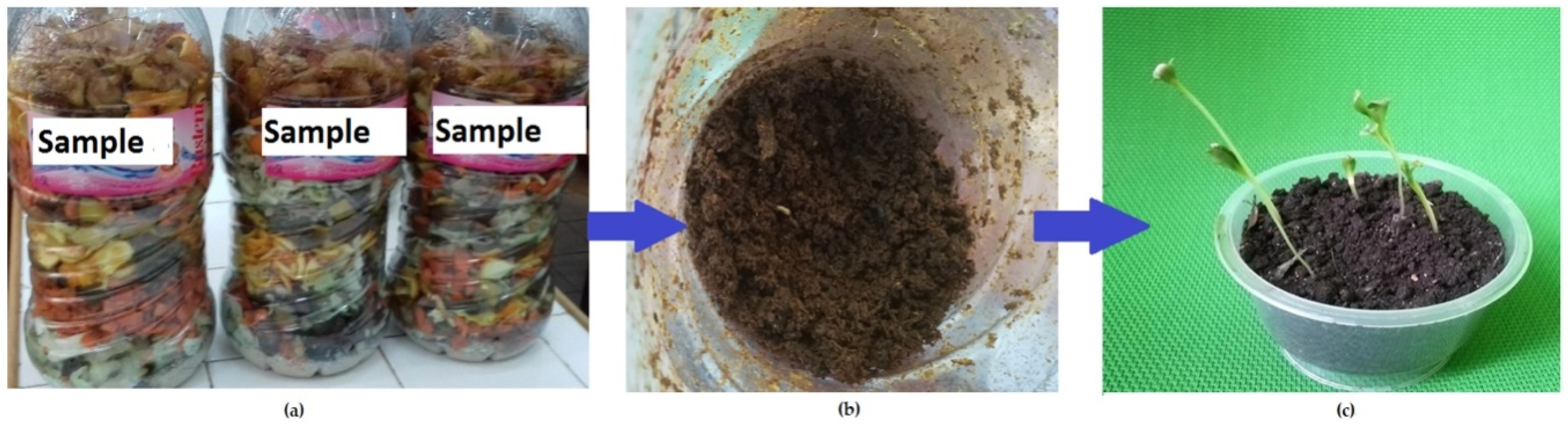 Processes 08 00302 g001
