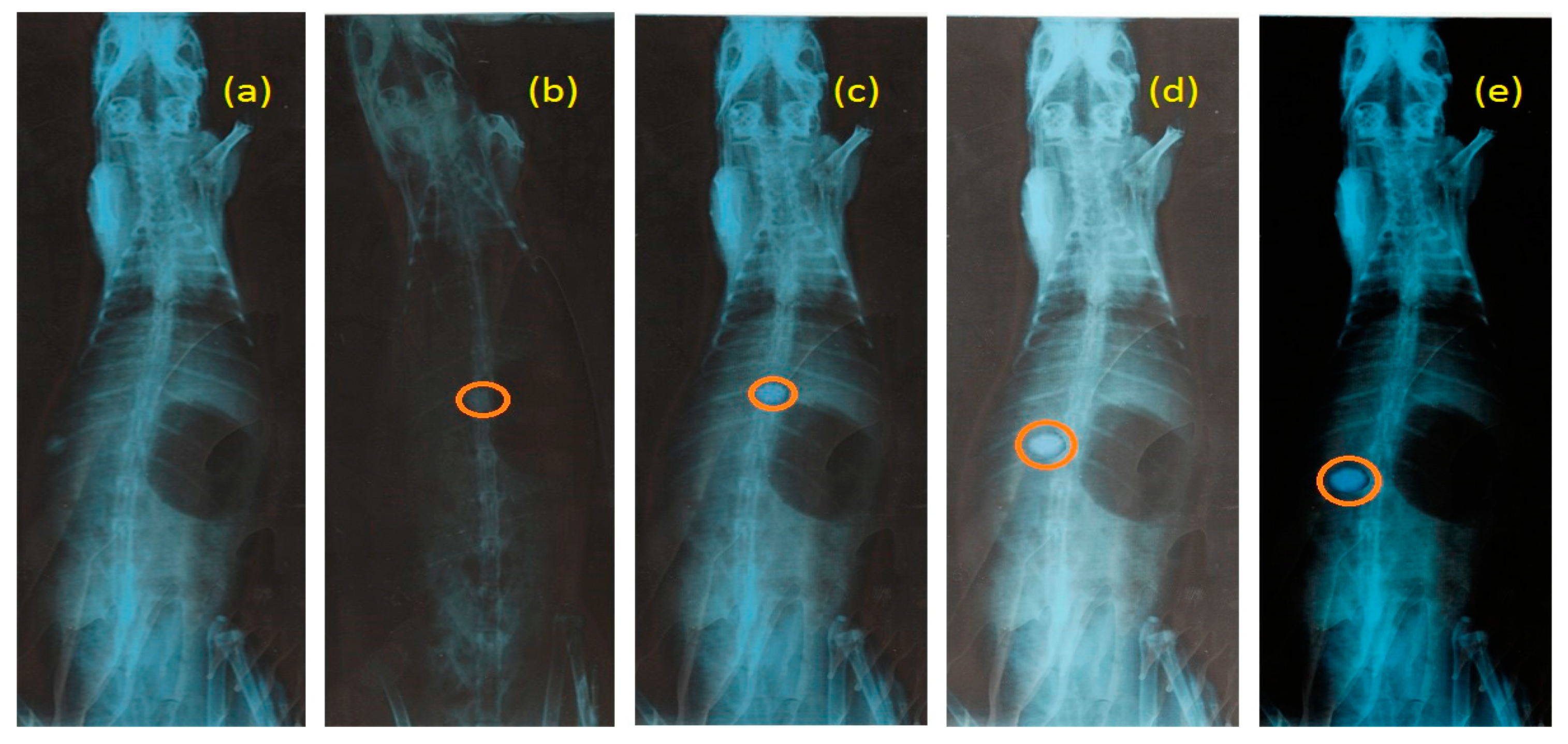 Processes 08 00316 g009 Processes 08 00316 g009