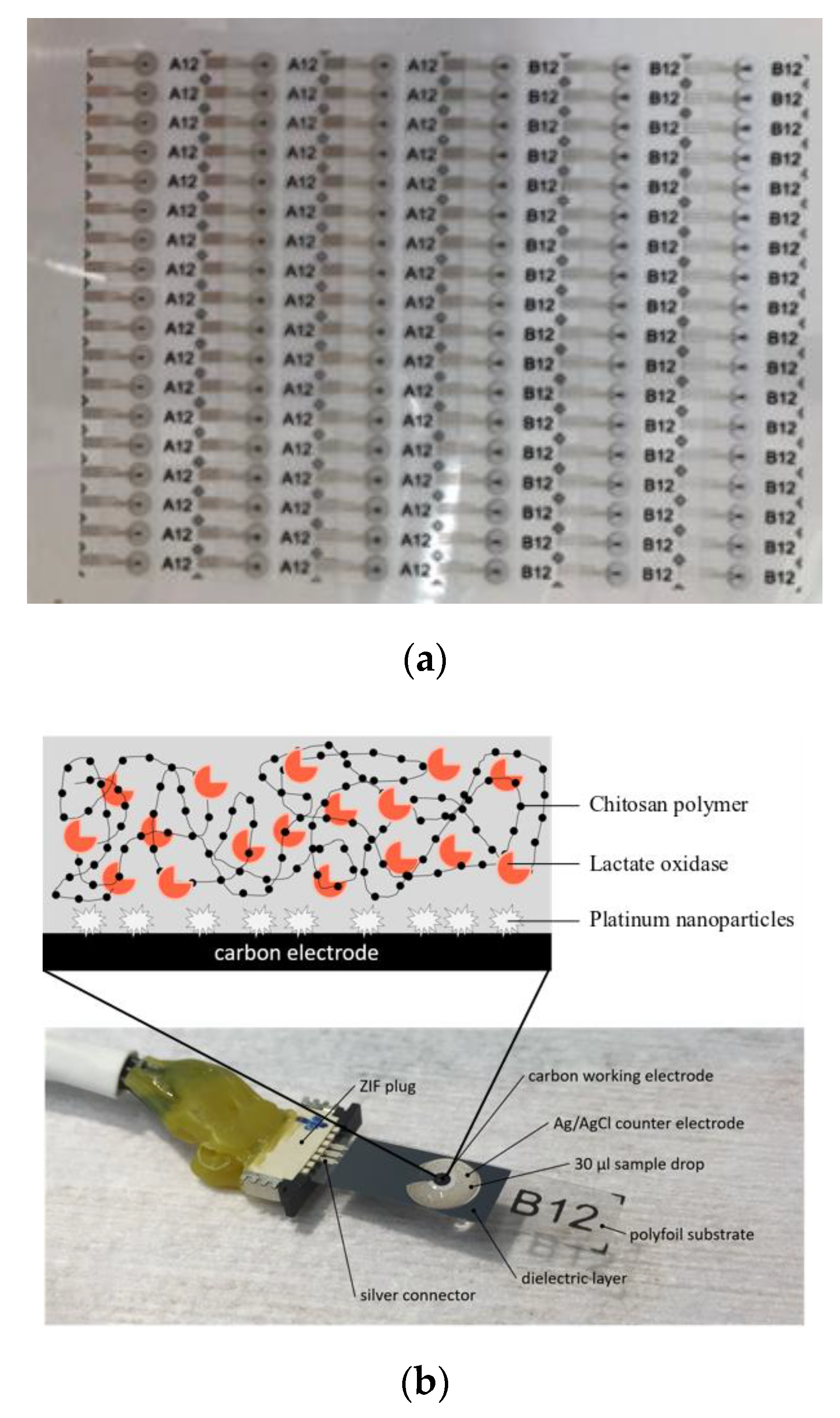 Processes 08 00321 g001