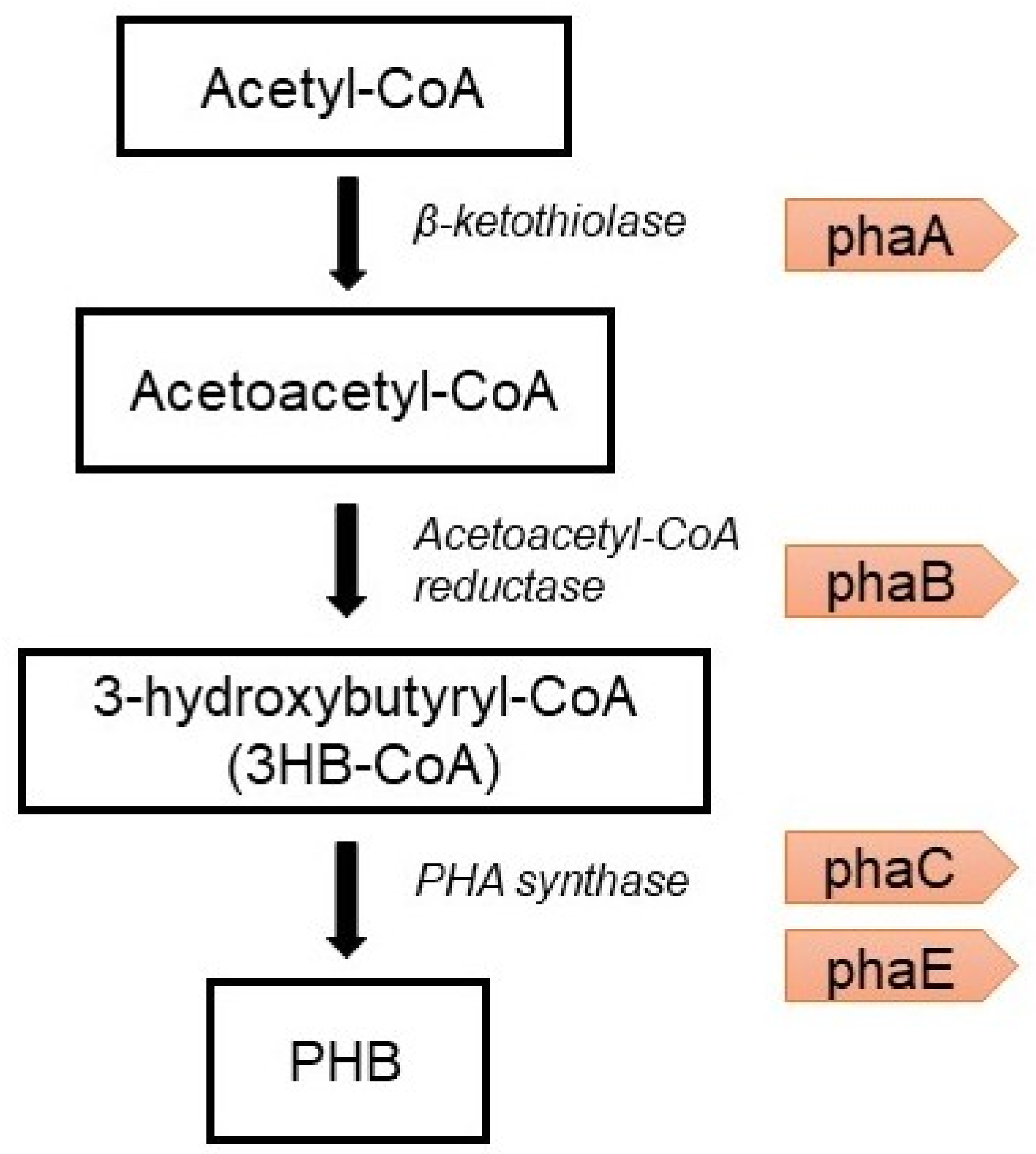 Processes 08 00323 g005