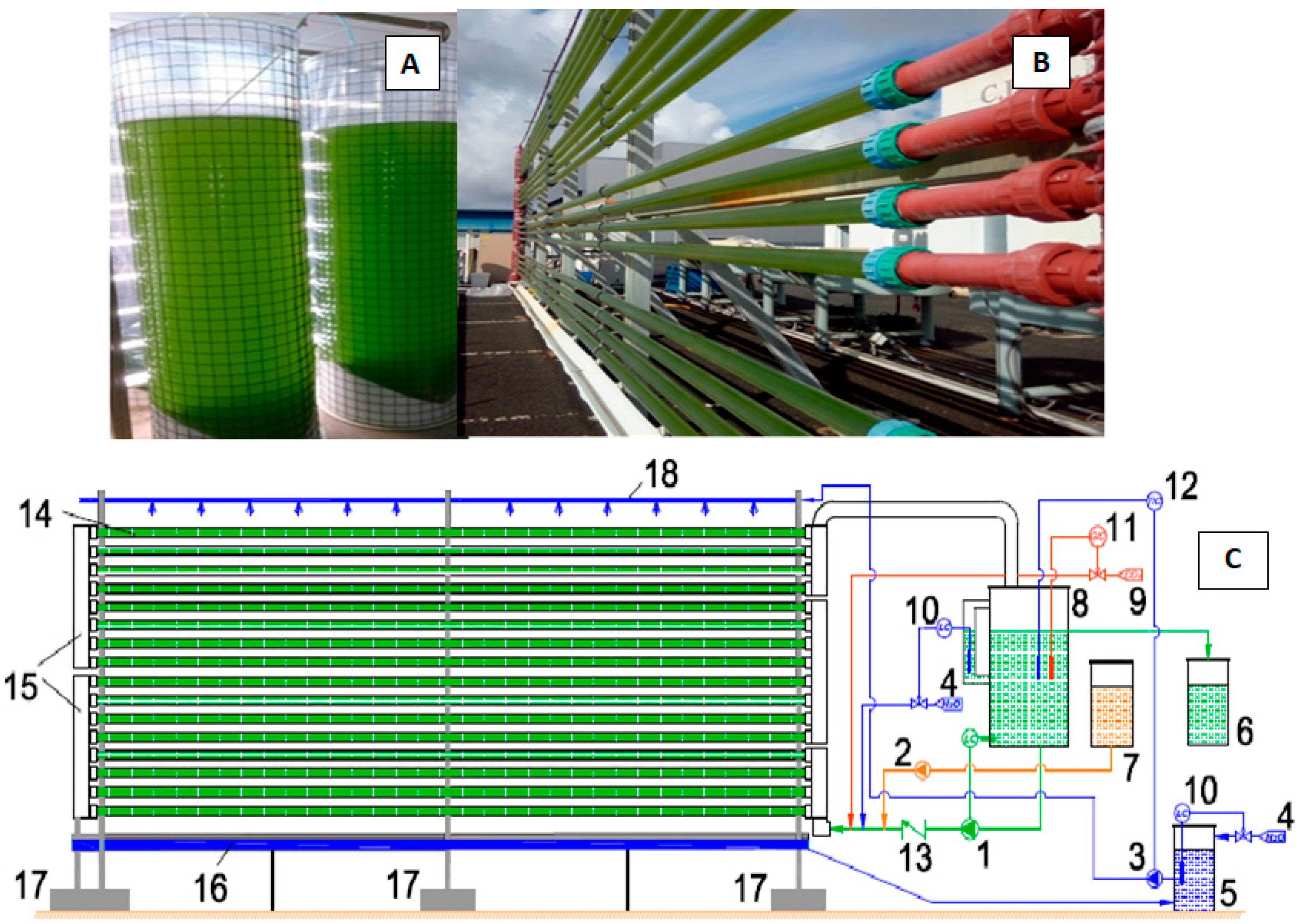 Processes 08 00324 g001
